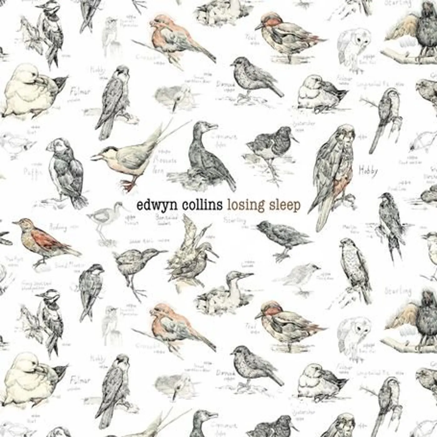 Edwyn Collins LOSING SLEEP CD