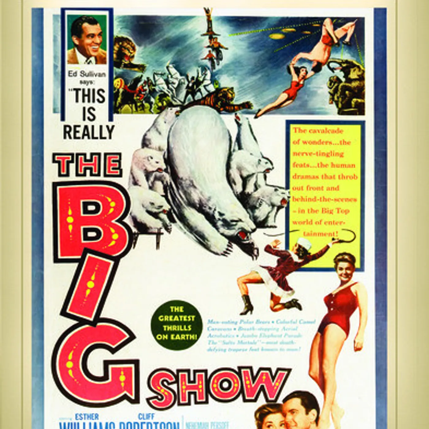 BIG SHOW DVD