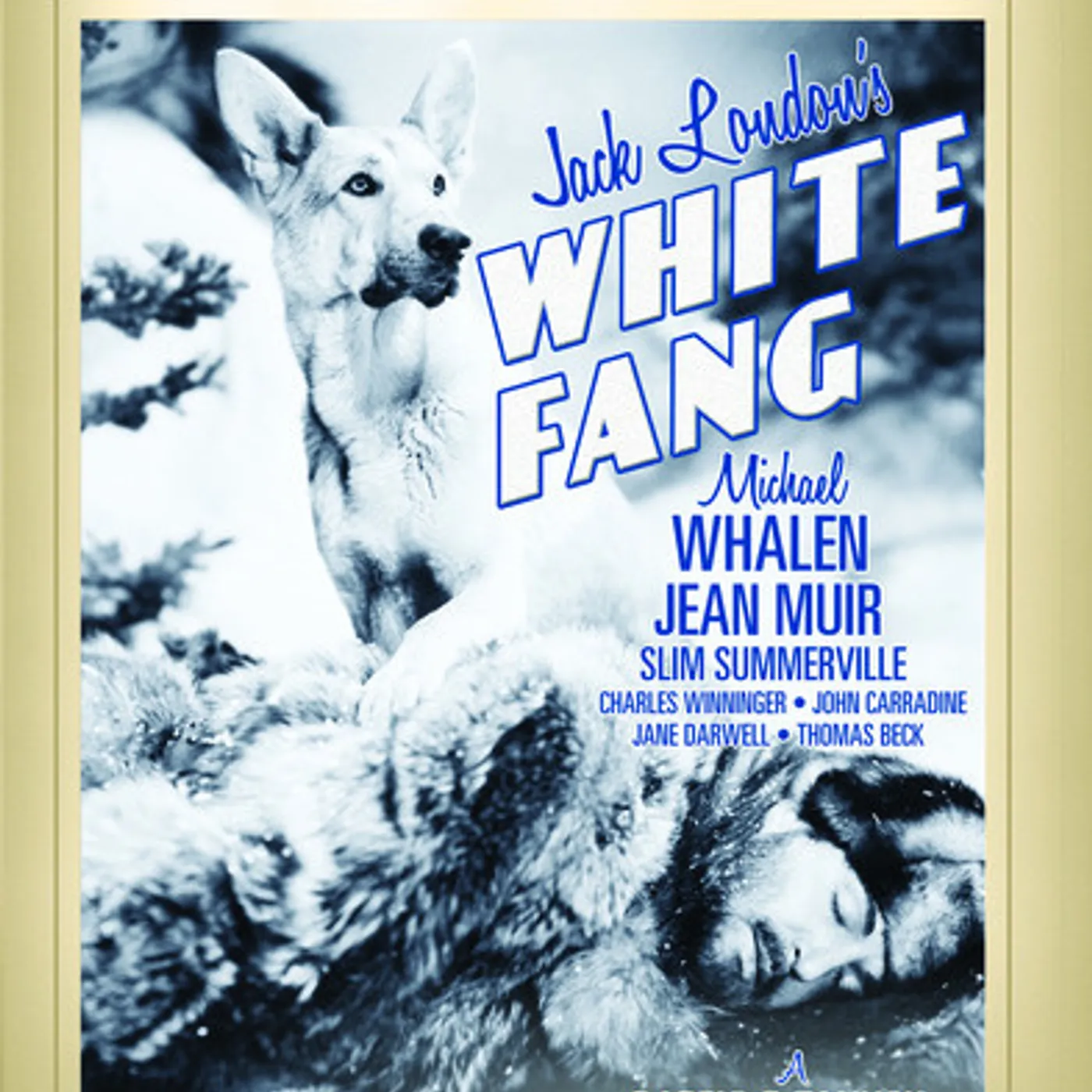 WHITE FANG DVD