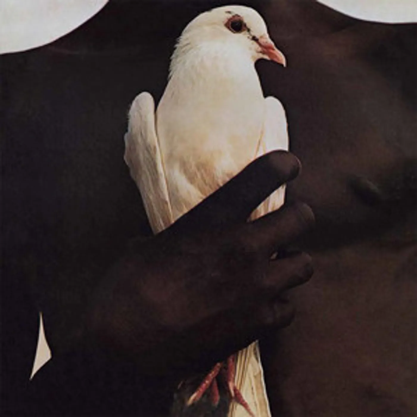 SANTANA'S GREATEST HITS Vinyl Record - Limited Edition, 180 Gram Pressing