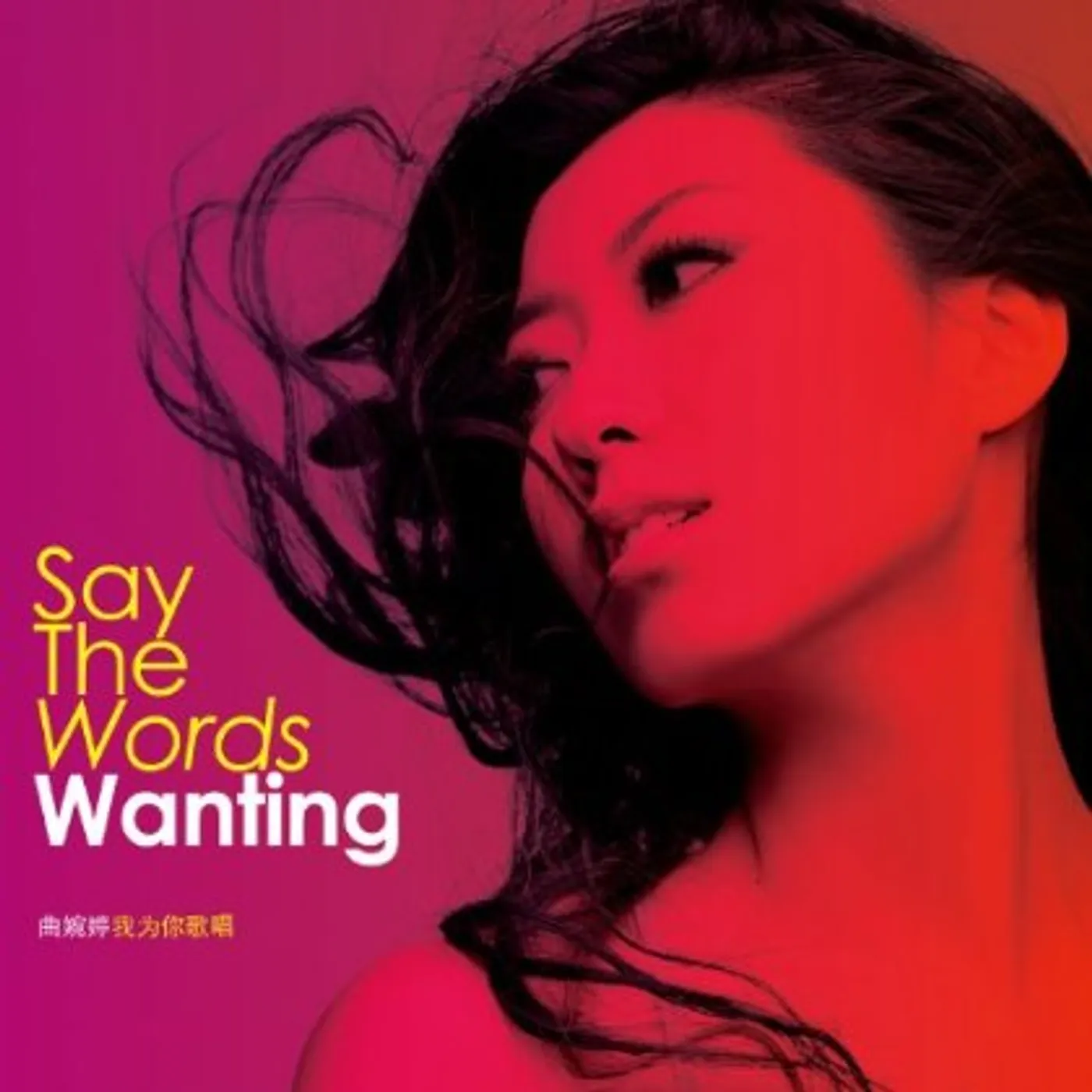 Wanting Say the Words Vinyl Record