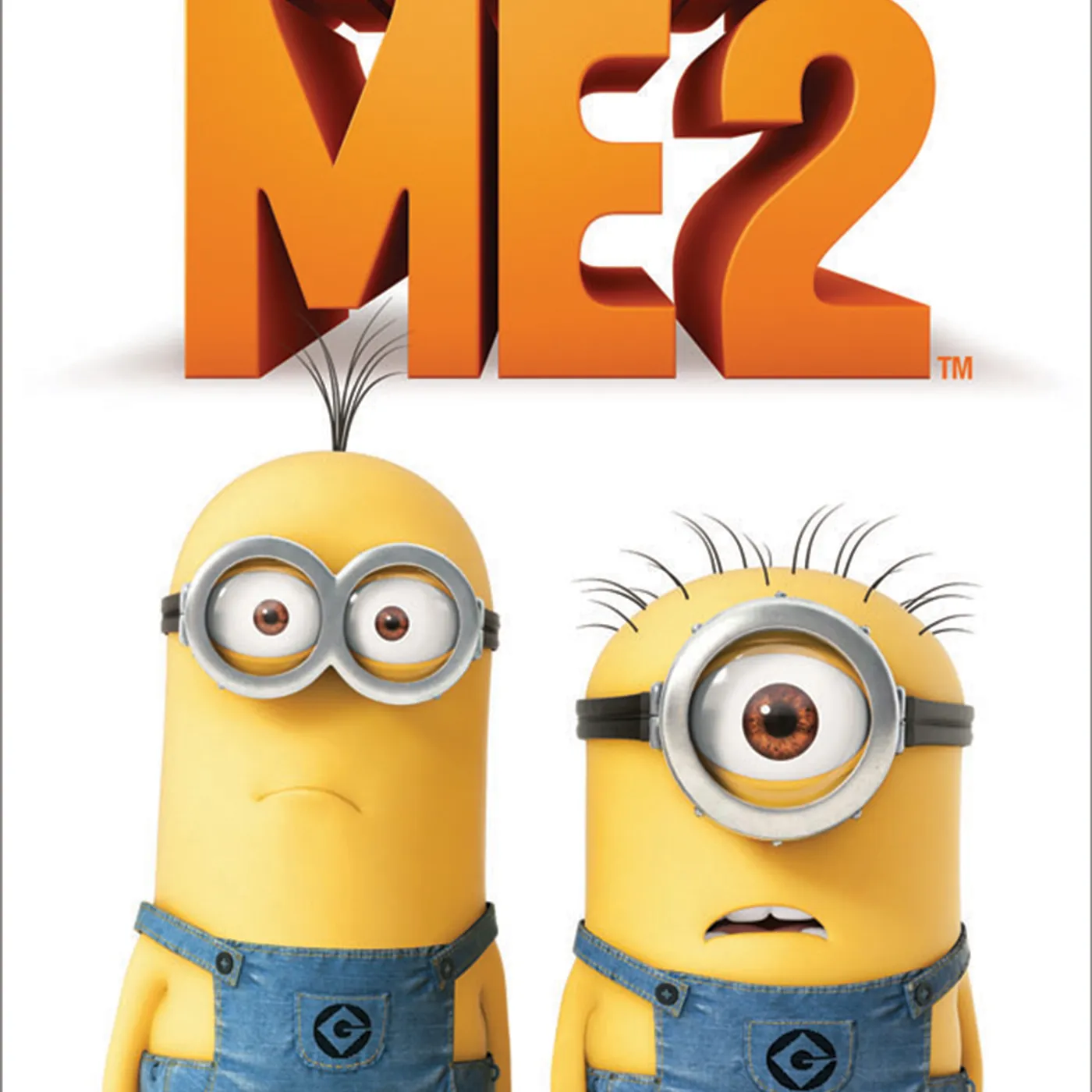 DESPICABLE ME 2 DVD
