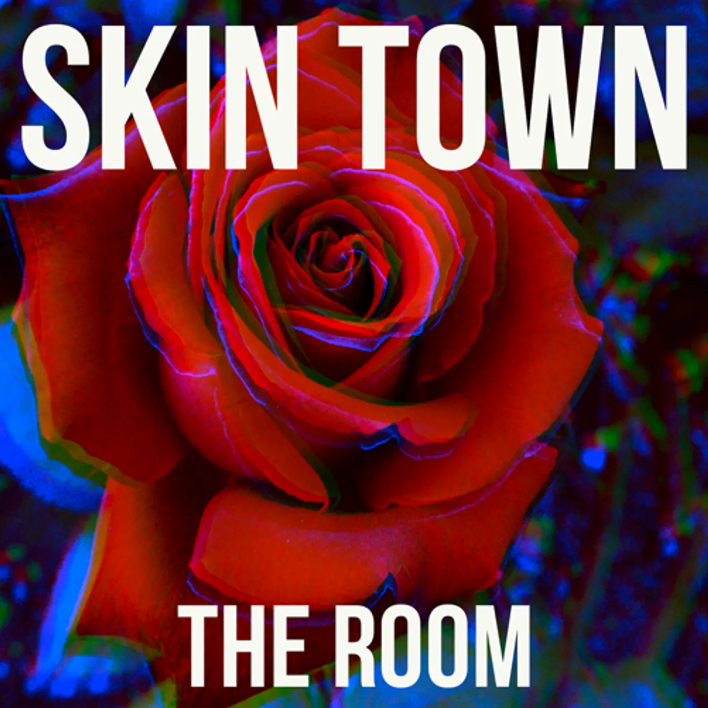 Skin Town ROOM CD