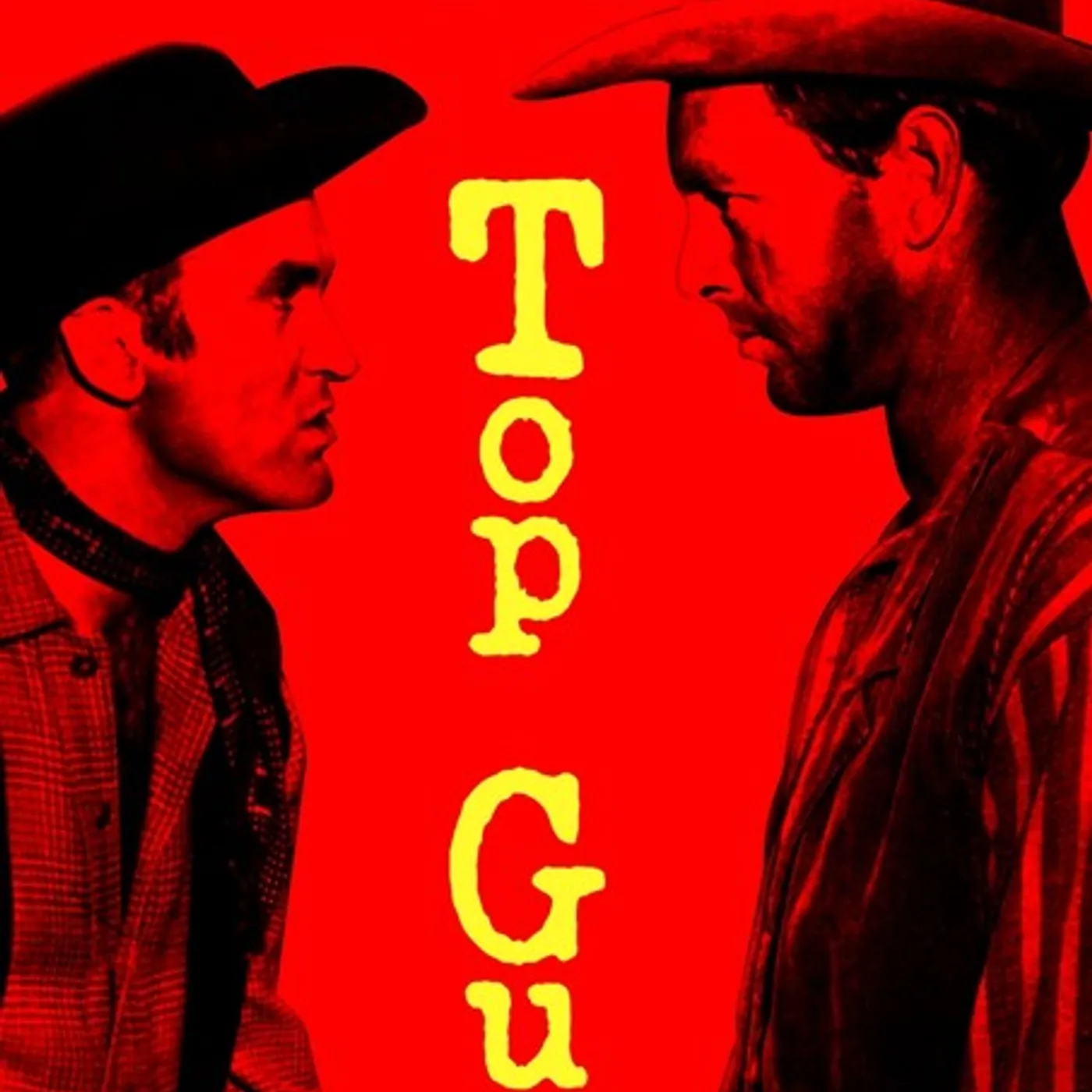 TOP GUN DVD