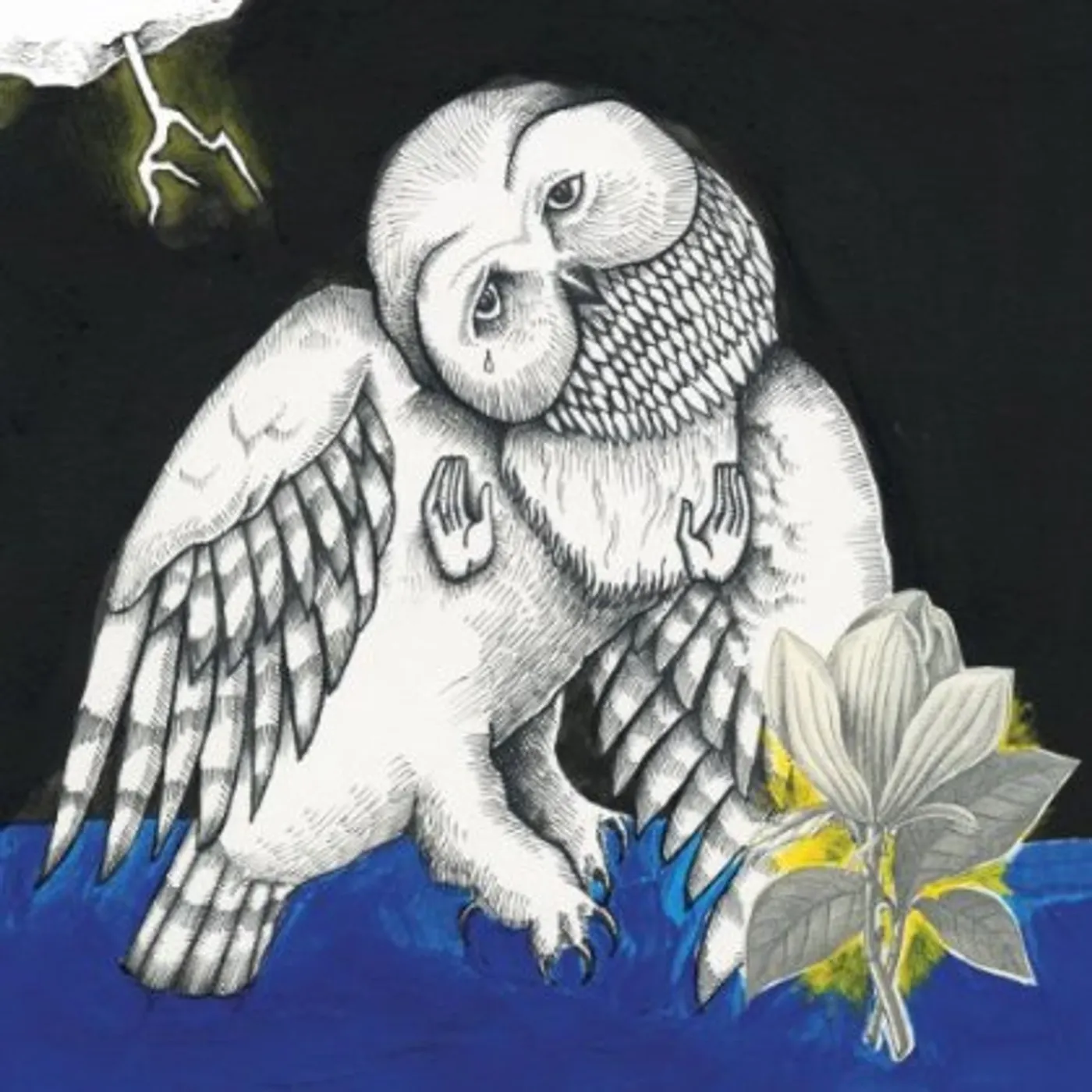 Songs: Ohia MAGNOLIA ELECTRIC COMPANY CO CD