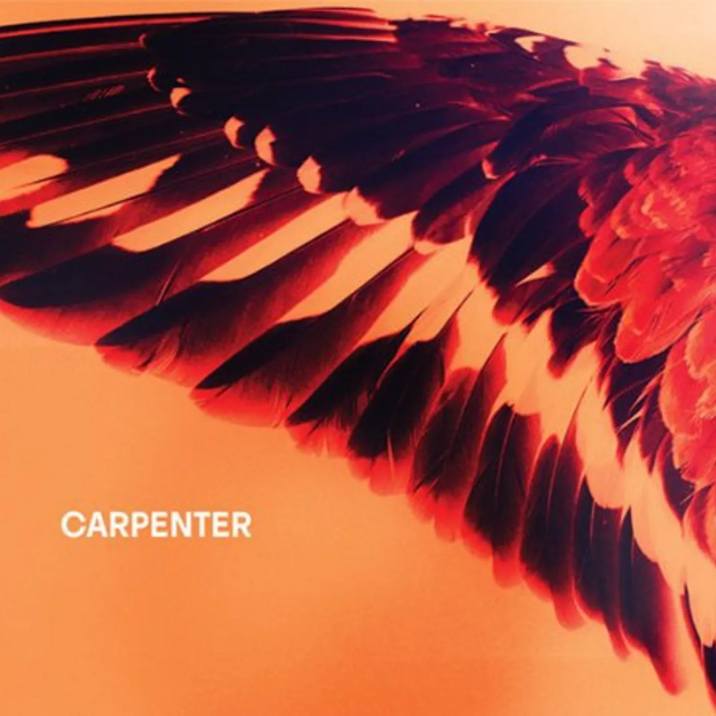 Carpenter Sea To Sky Vinyl Record