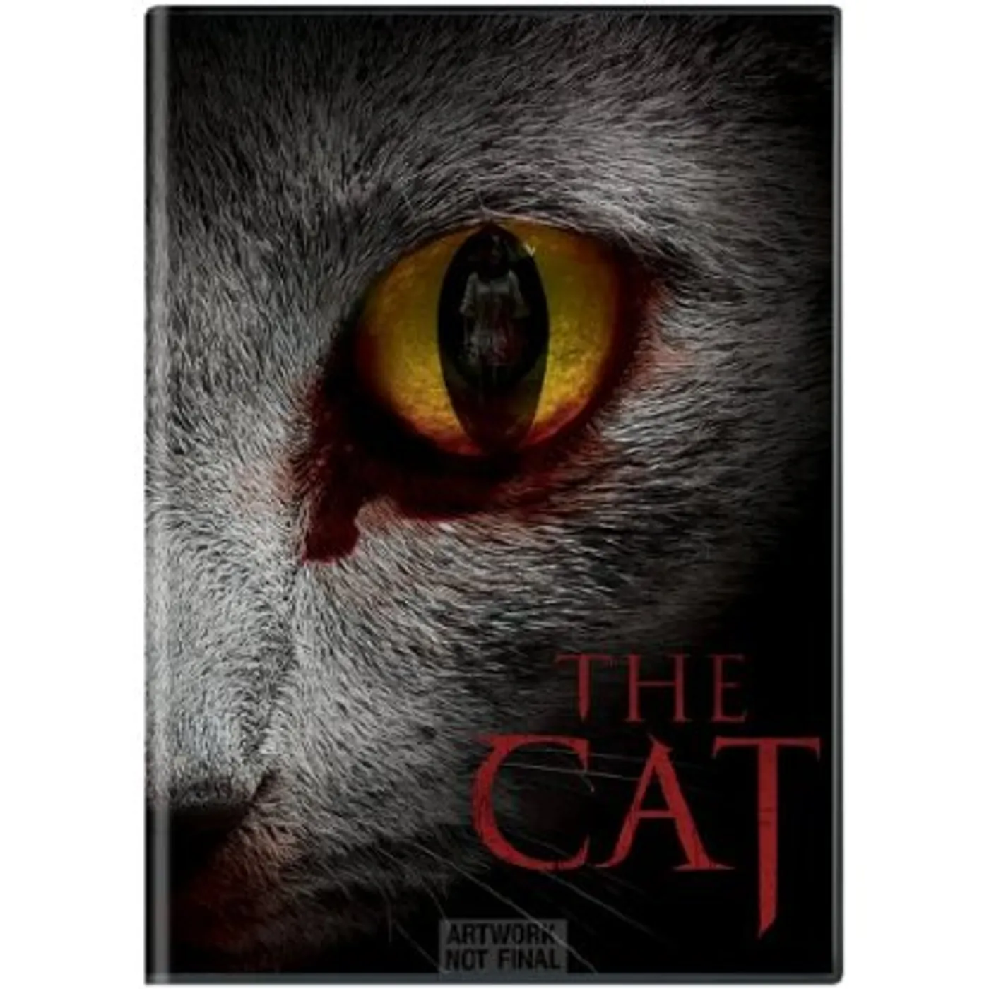 CAT DVD