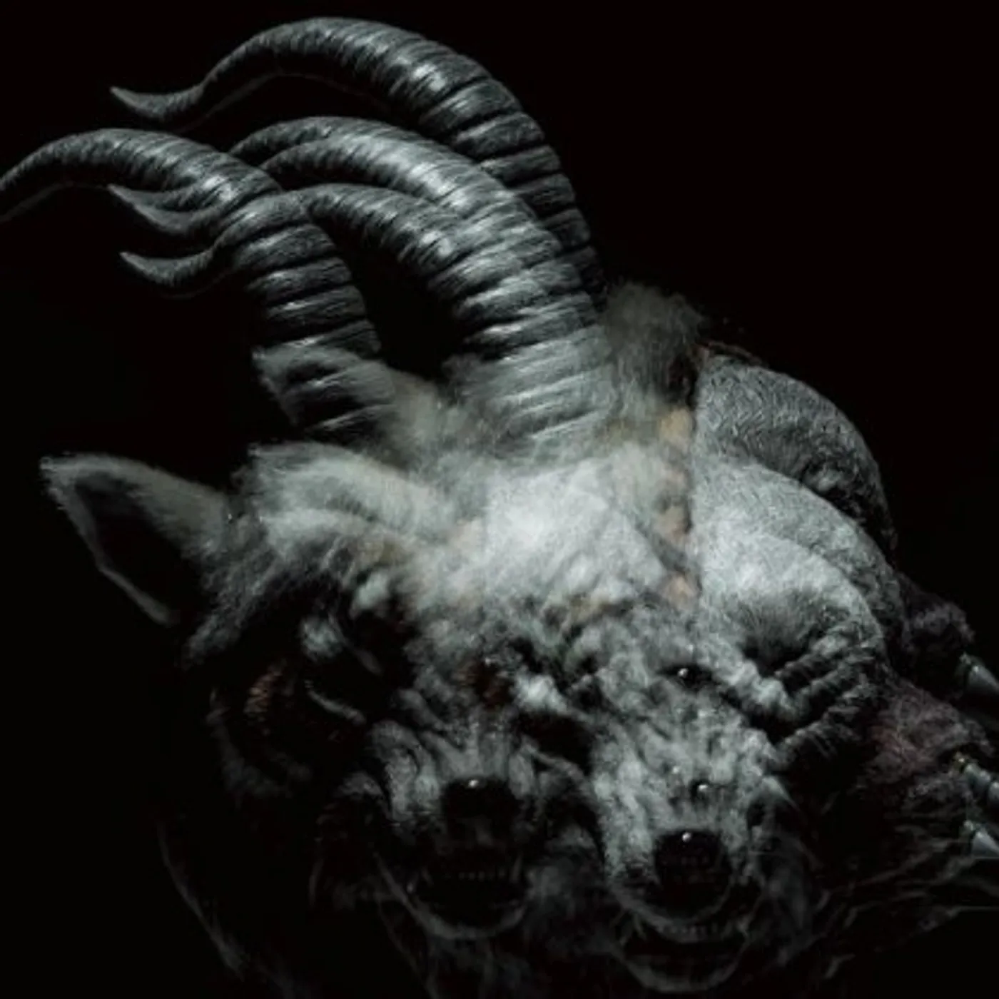 the GazettE BEAUTIFUL DEFORMITY CD