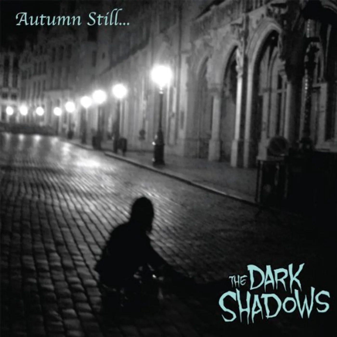 Dark Shadows AUTUMN STILL Vinyl Record