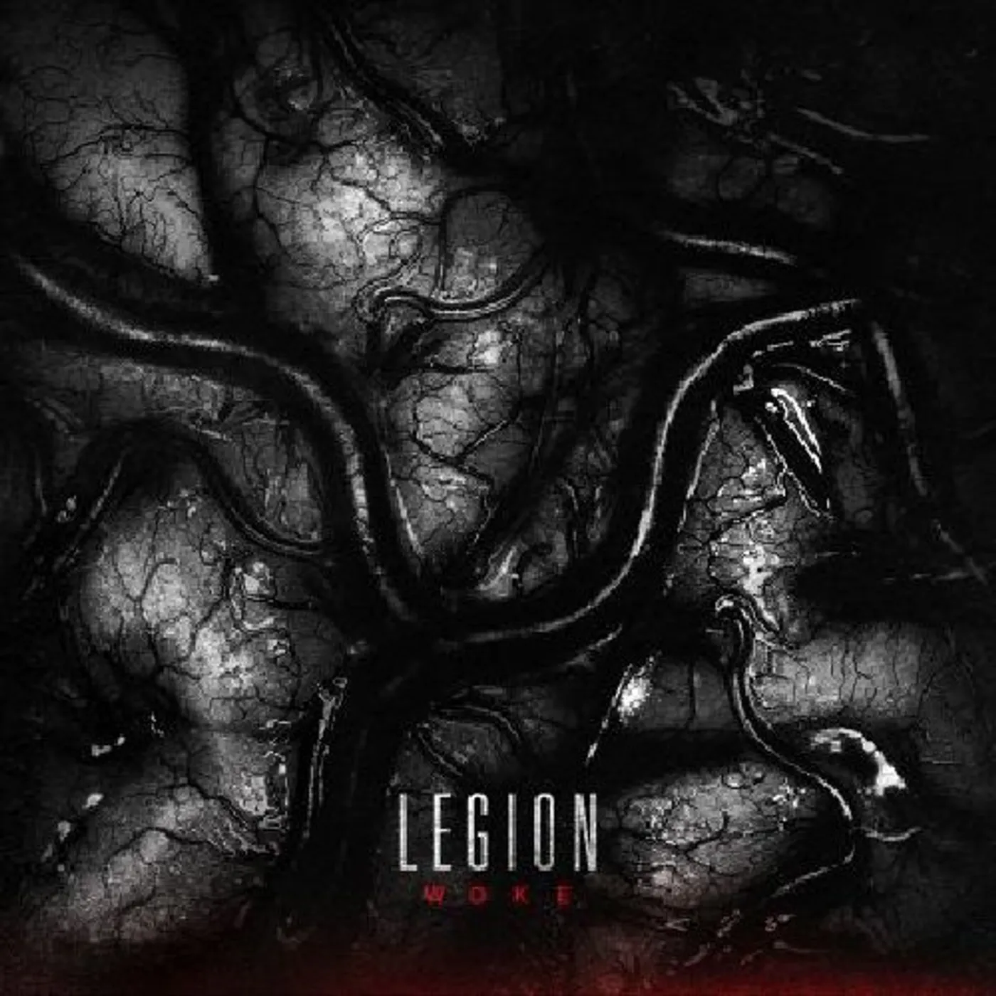 Legion WOKE CD