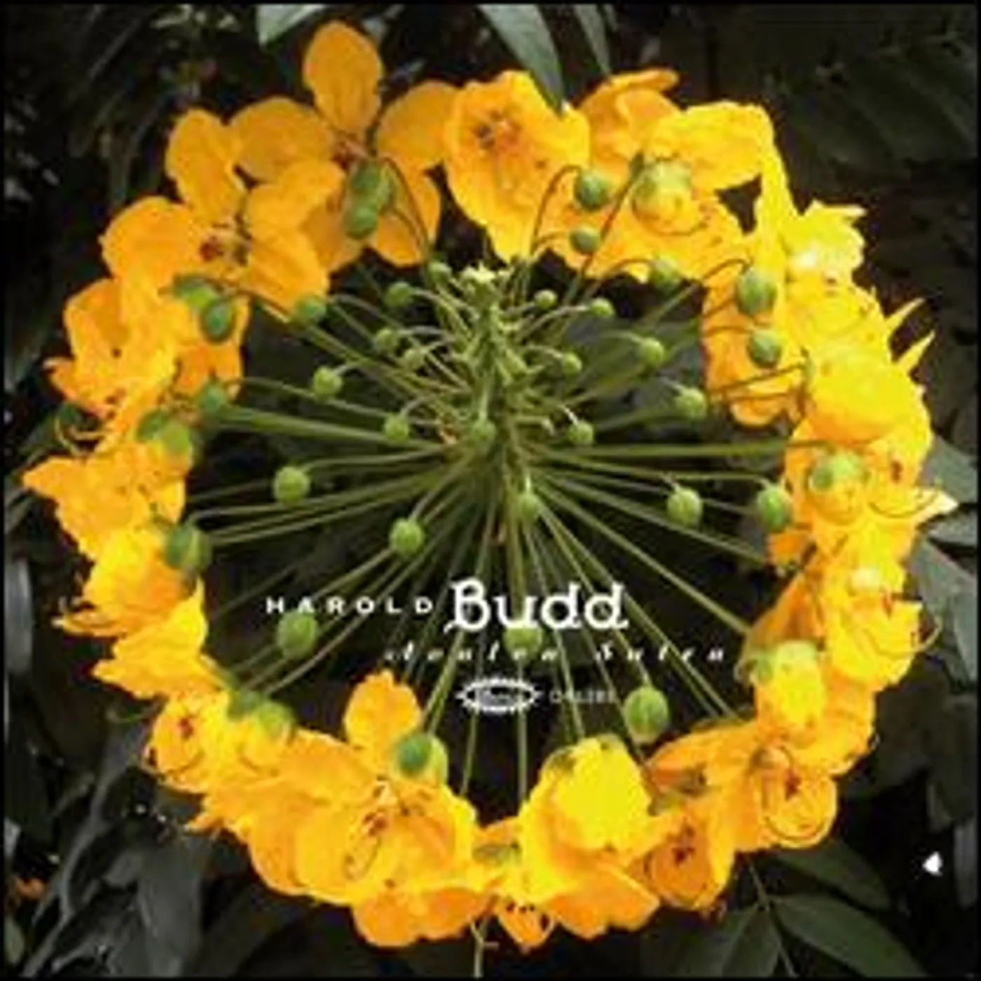 Harold Budd AVALON SUTRA CD