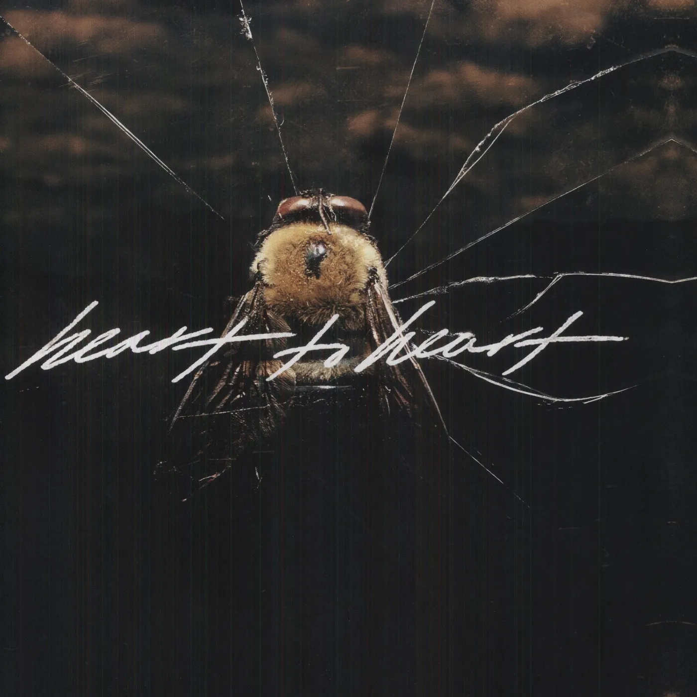 Heart to Heart Vinyl Record