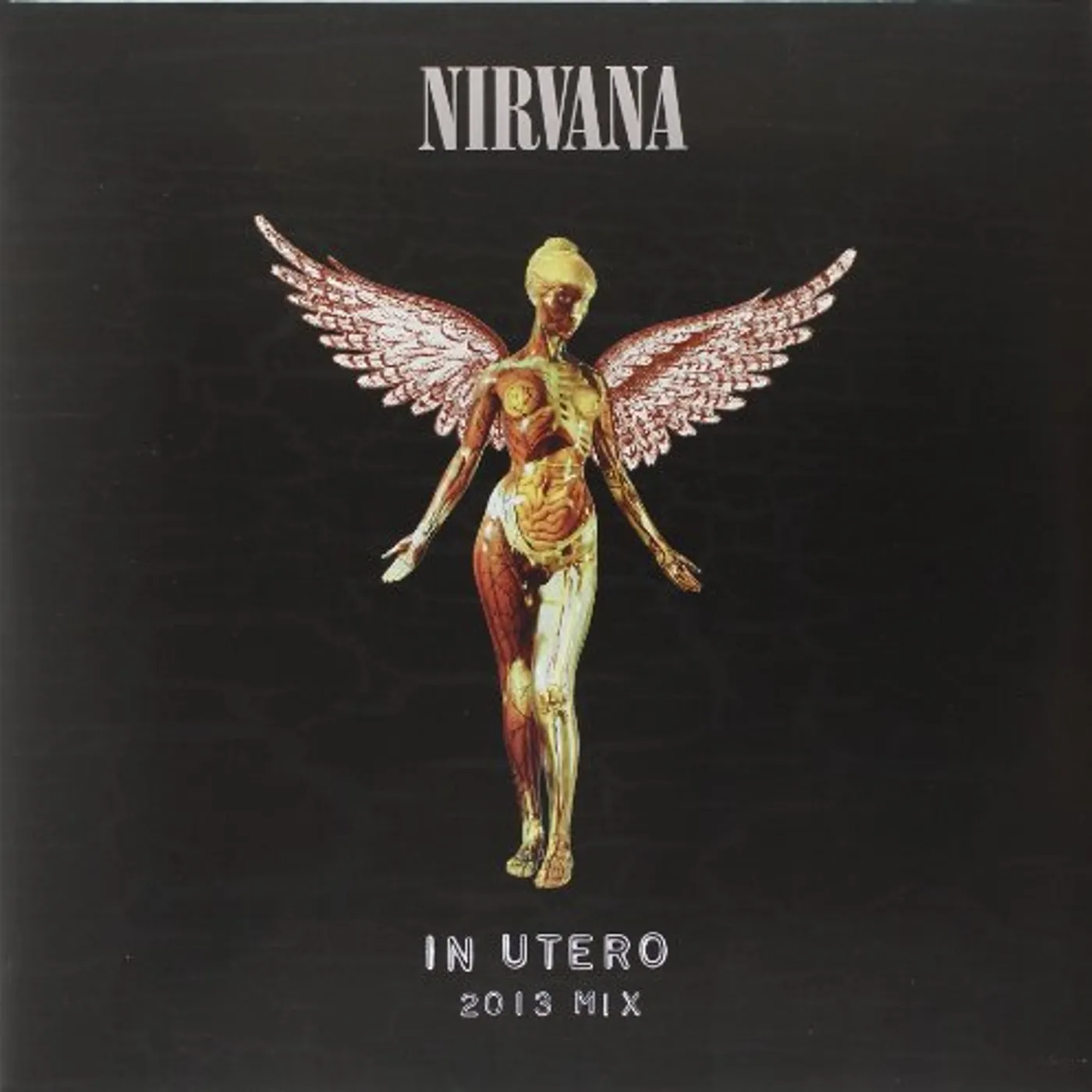Nirvana In Utero Vinyl Record