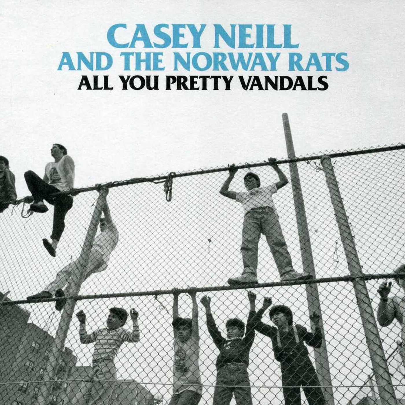 Casey Neill & The Norway Rats ALL YOU PRETTY ANIMALS CD