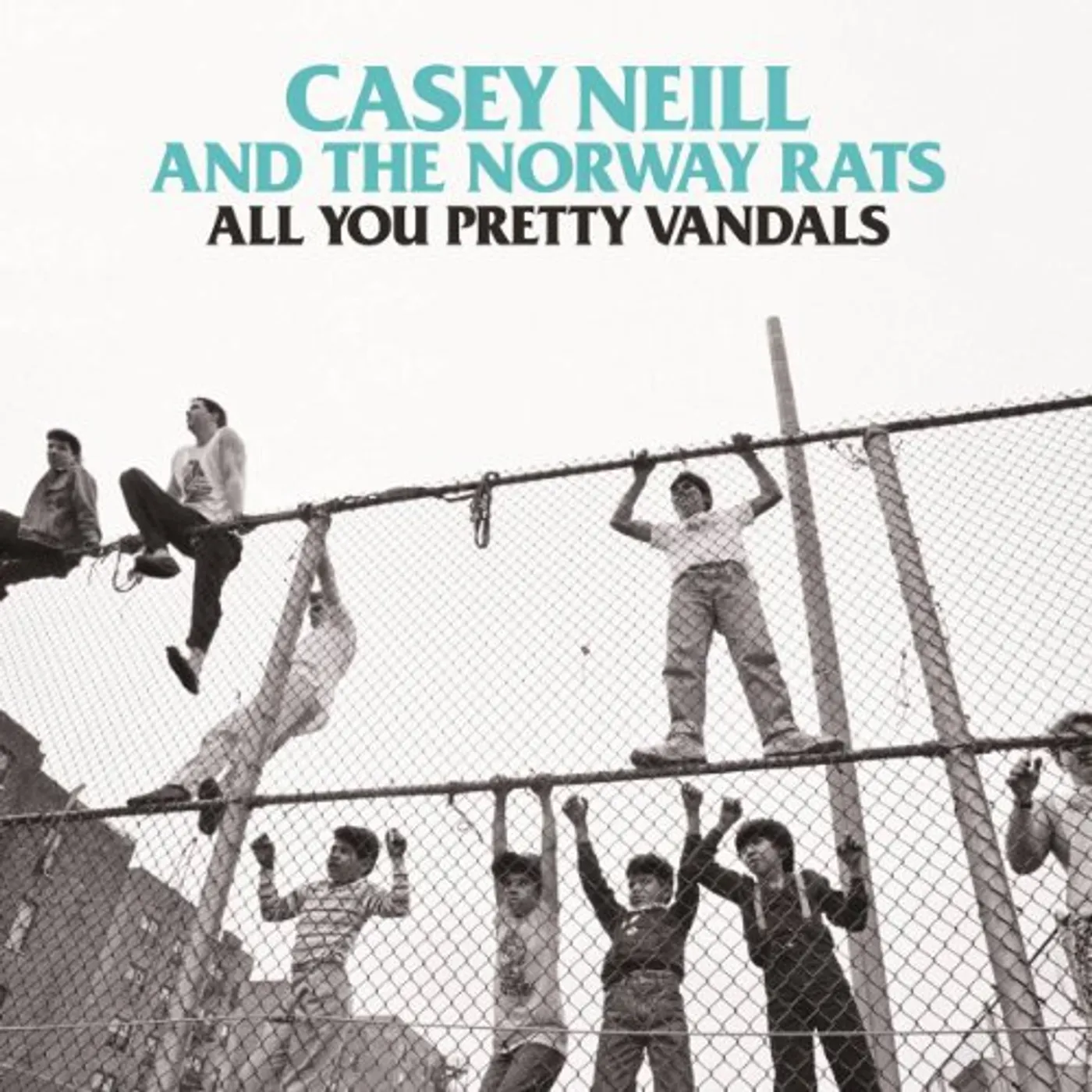 Casey Neill & The Norway Rats ALL YOU PRETTY ANIMALS Vinyl Record