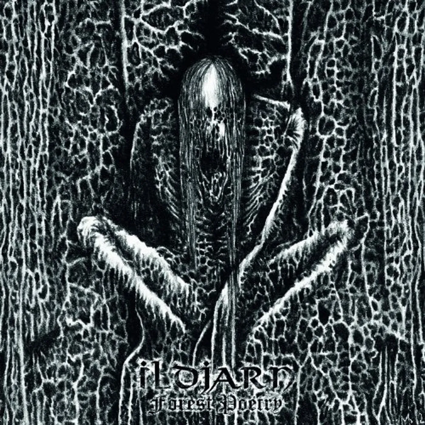 Ildjarn Forest Poetry Vinyl Record