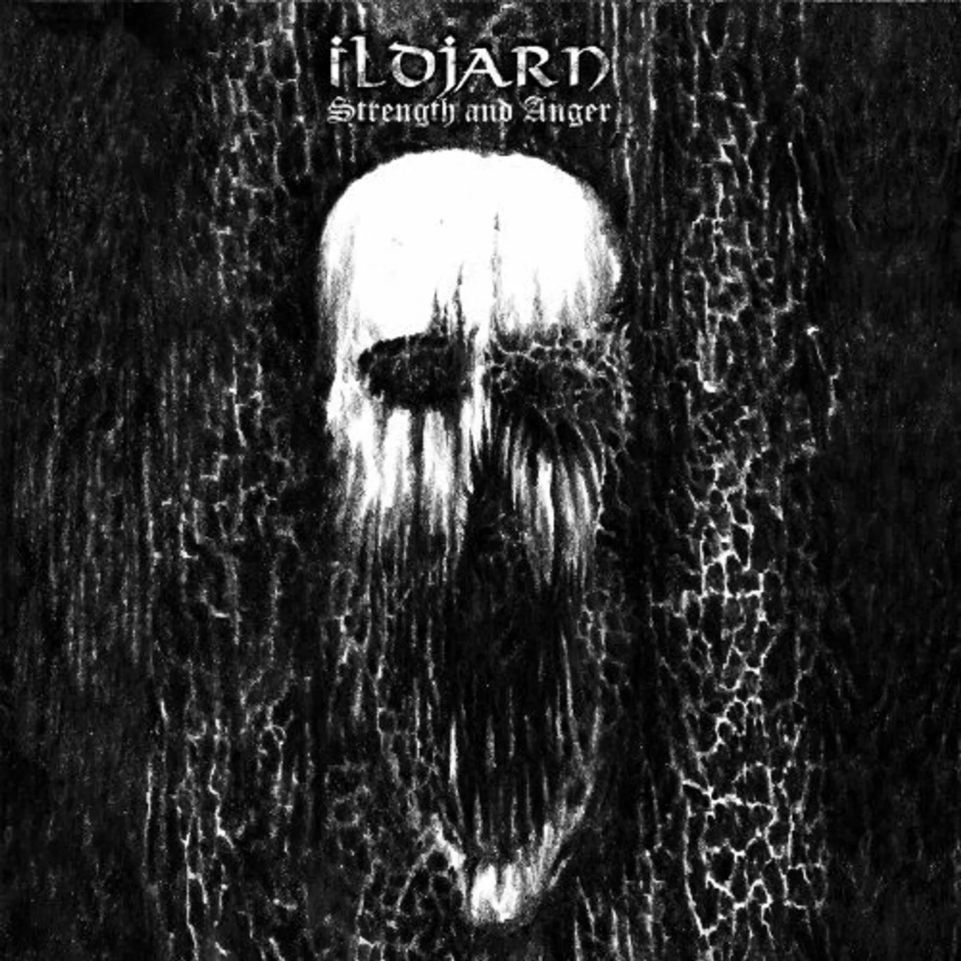 Ildjarn Strength and Anger Vinyl Record