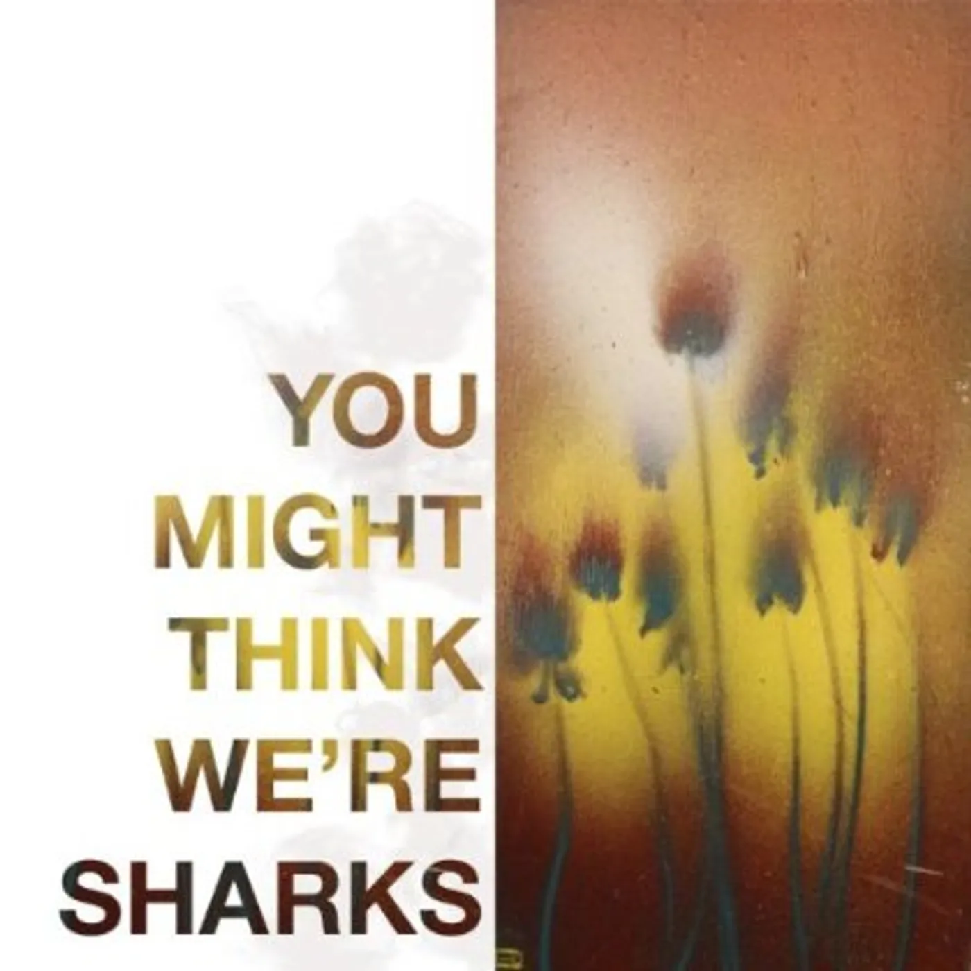 YOU MIGHT THINK WE'RE SHARKS CD