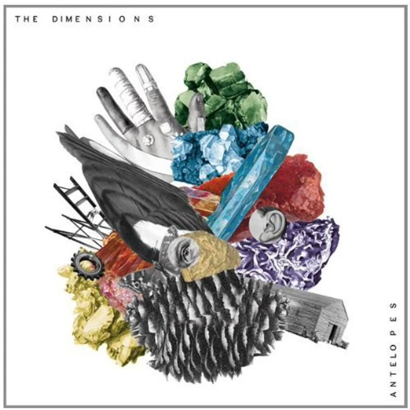 Dimensions ANTELOPE INCL.DOWNLOAD CODE Vinyl Record
