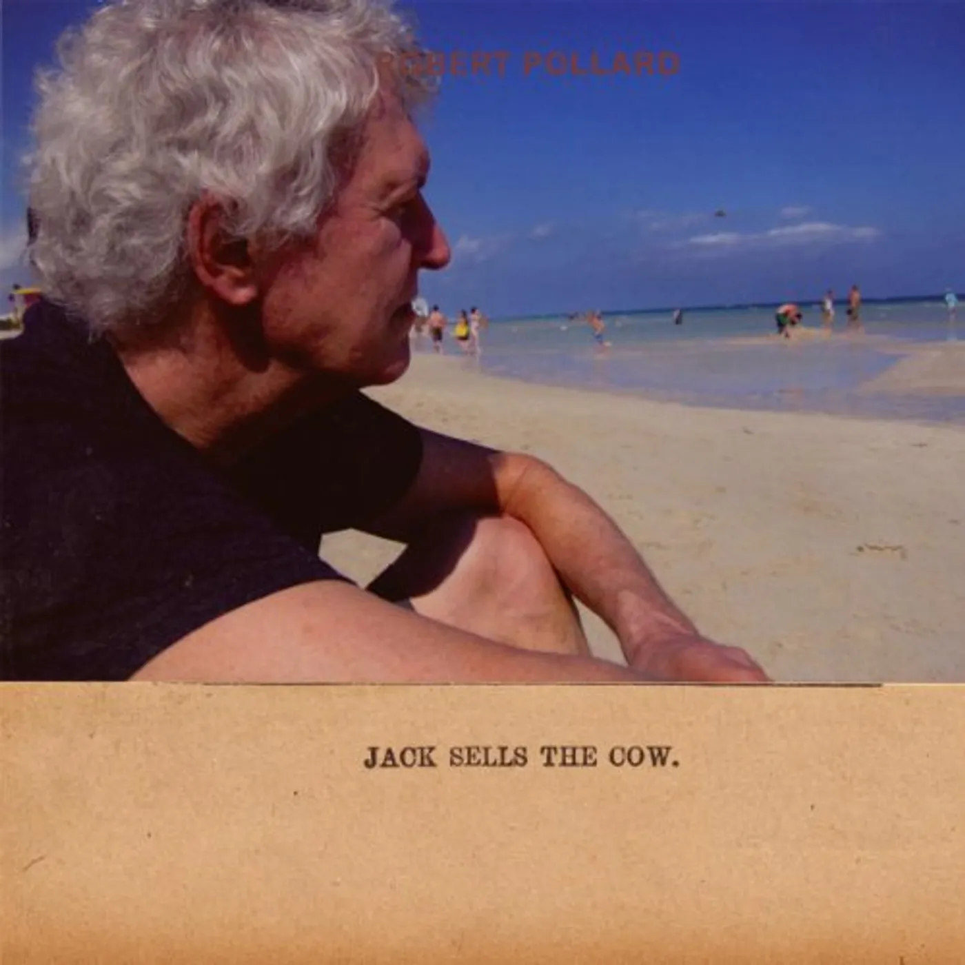 Robert Pollard Jack Sells the Cow Vinyl Record