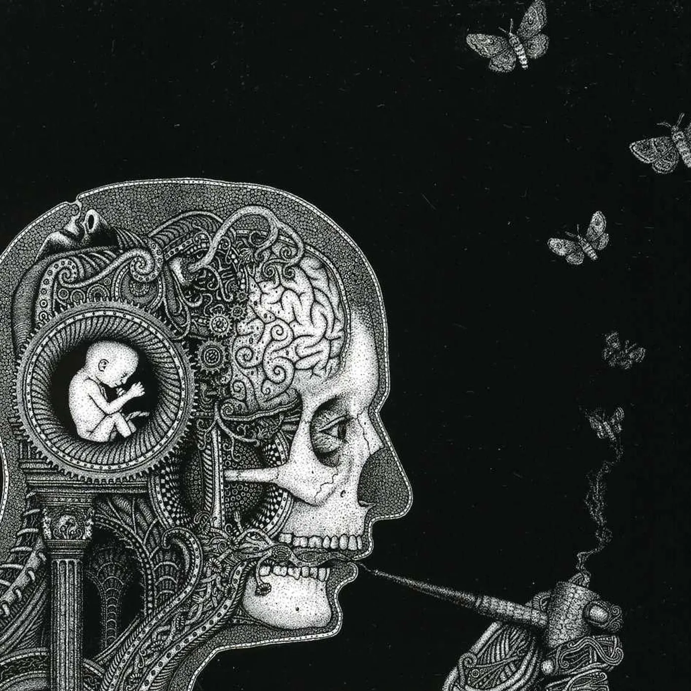 Soen COGNITIVE CD