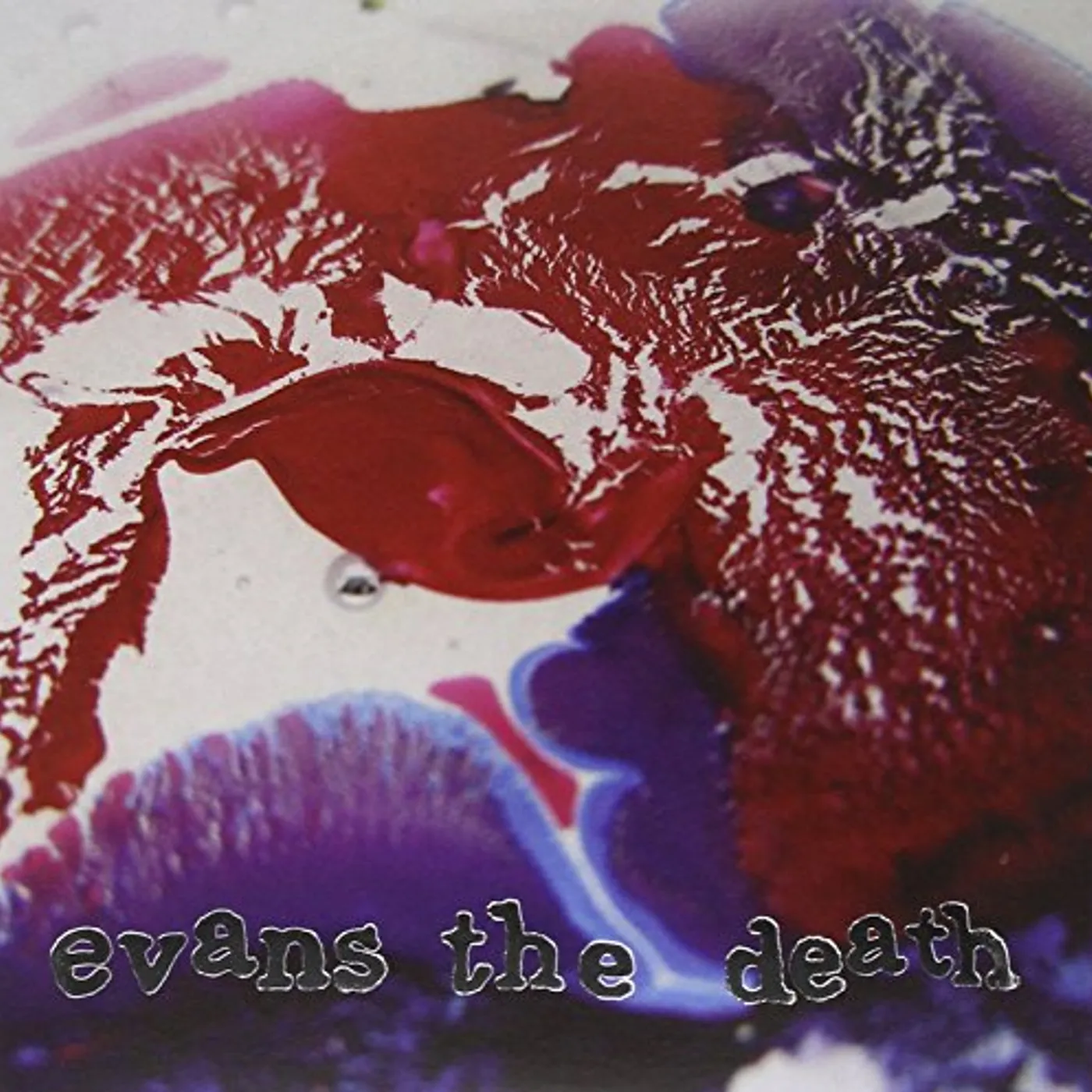 Evans The Death CATCH YOURCOLD Vinyl Record