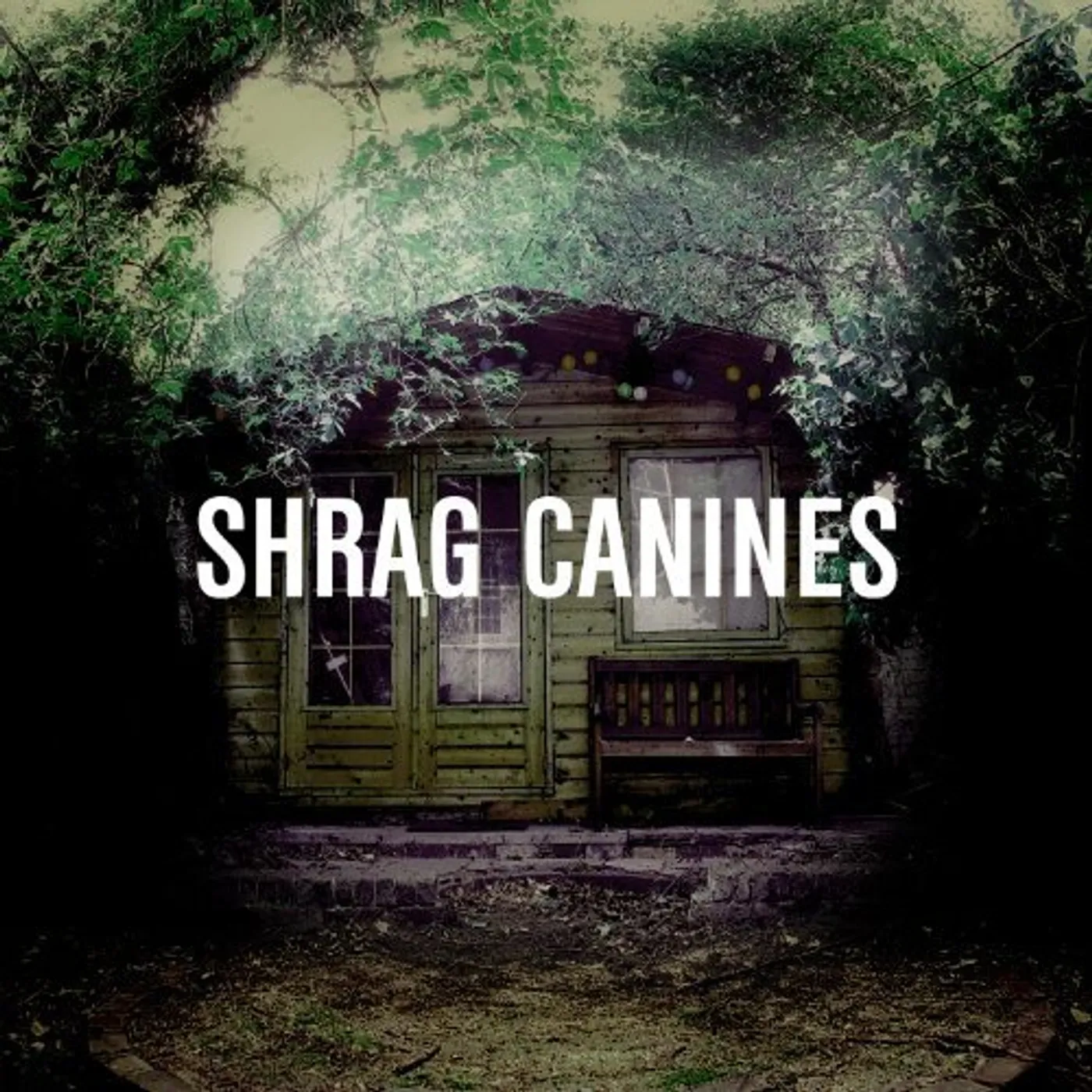 Shrag Canines Vinyl Record