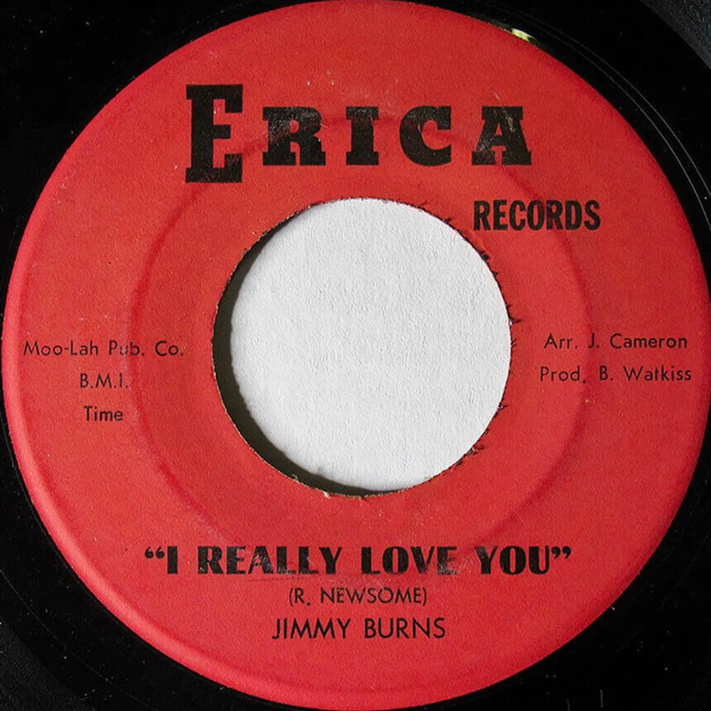 Jimmy Burns I REALLY LOVE YOU Vinyl Record - UK Release