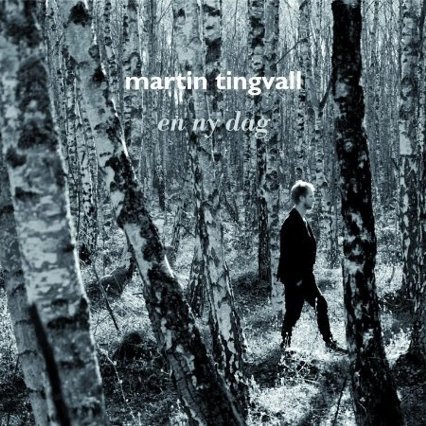 Martin Tingvall En ny dag Vinyl Record