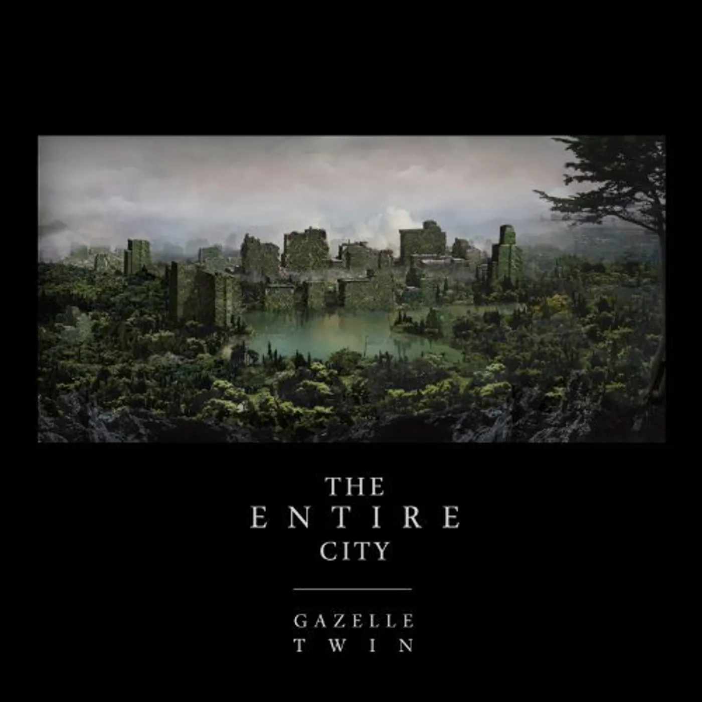 Gazelle Twin ENTIRE CITY (HOL) (Vinyl)