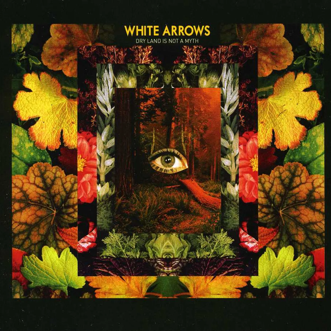 White Arrows DRY LAND IS NOT A MYTH CD
