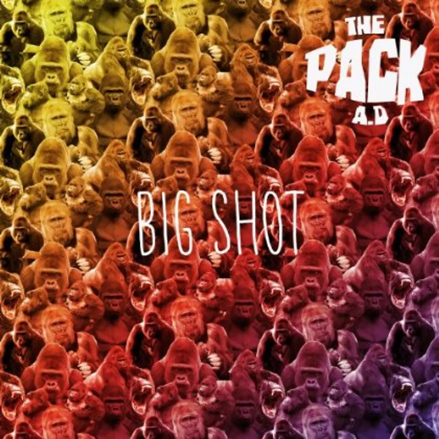 The Pack a.d. BIG SHOT Vinyl Record