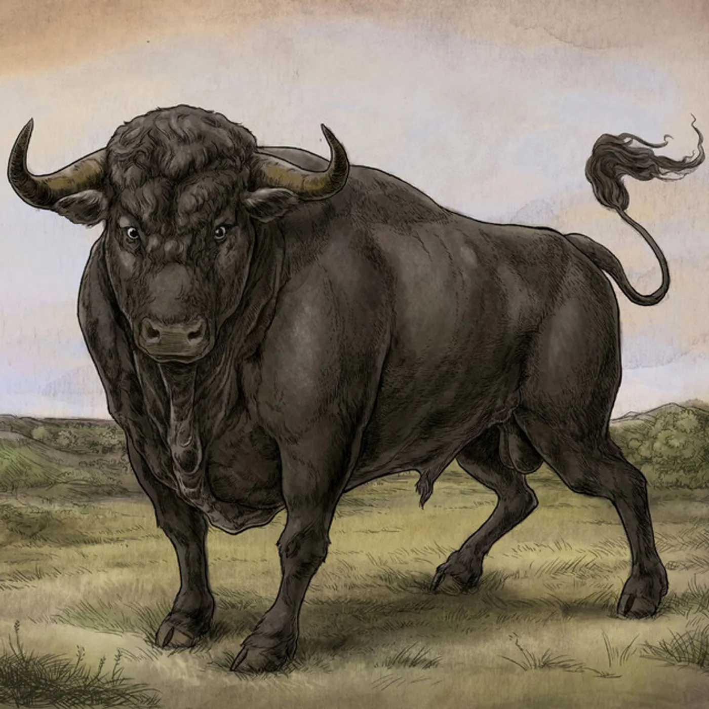 San Fermin Vinyl Record