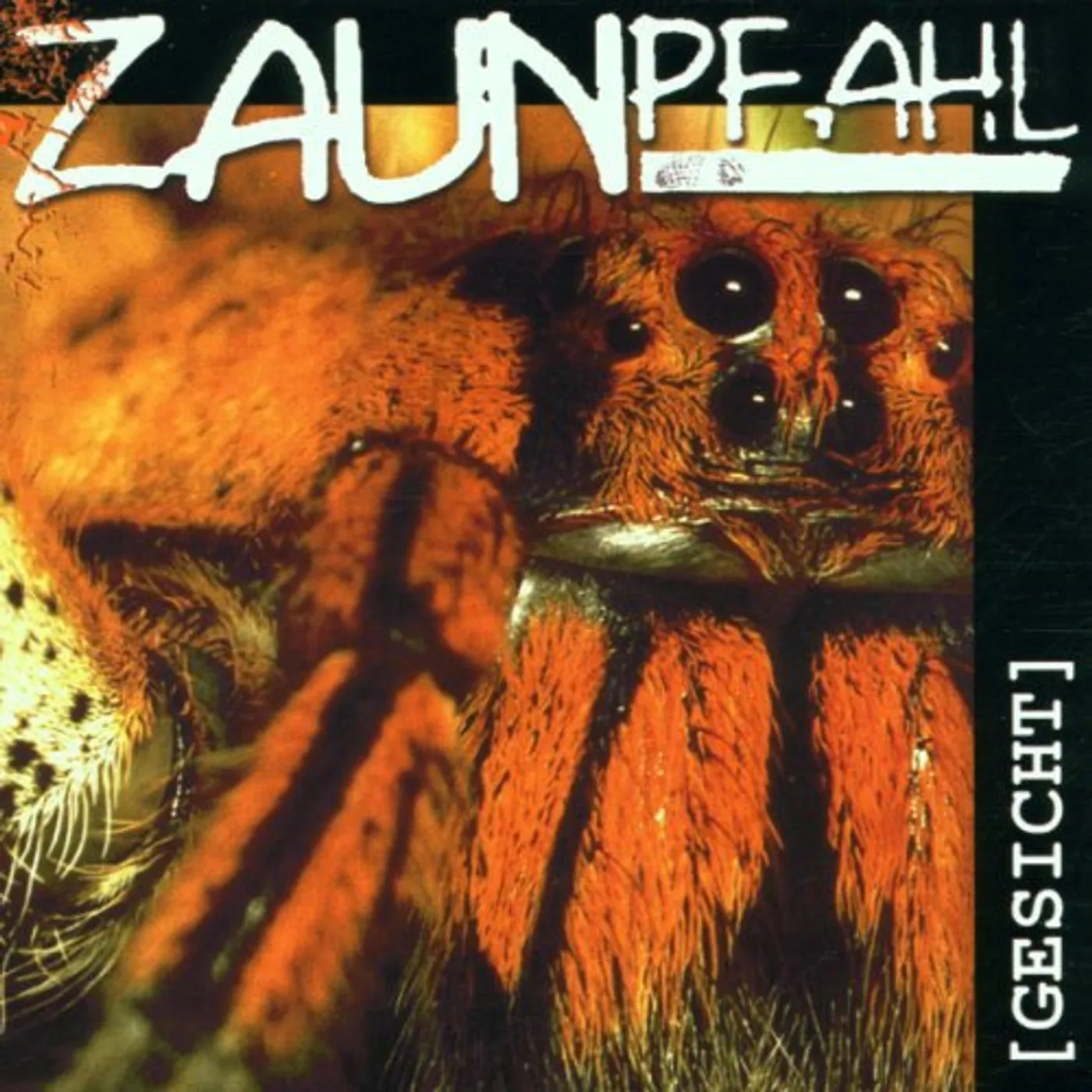Zaunpfahl GESICHT (GER) Vinyl Record