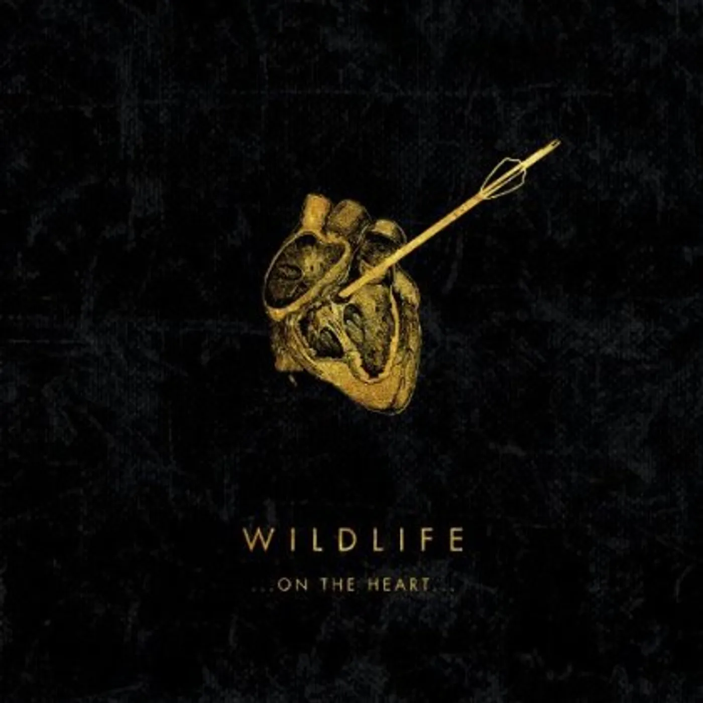 Wildlife ON THE HEART CD