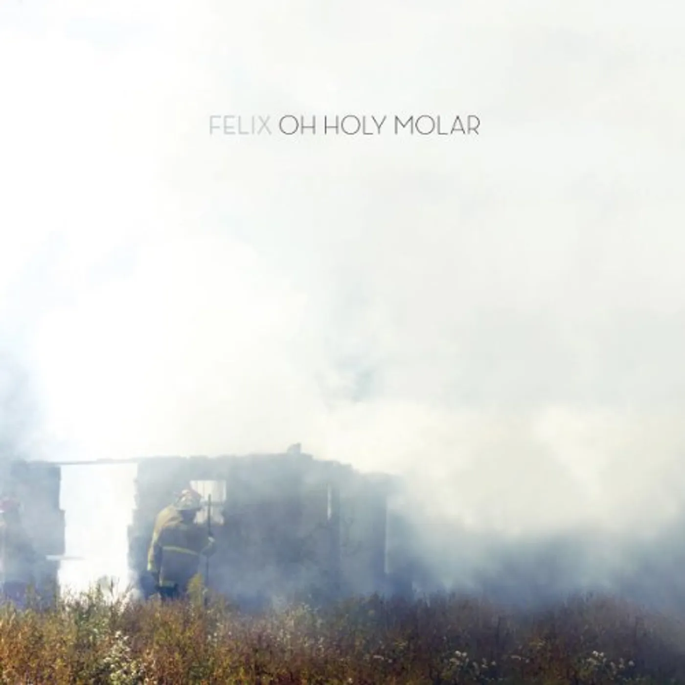 Felix Oh Holy Molar Vinyl Record