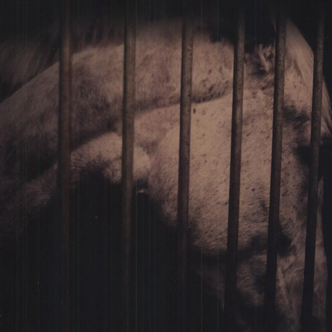 Justin Rutledge No Never Alone Vinyl Record