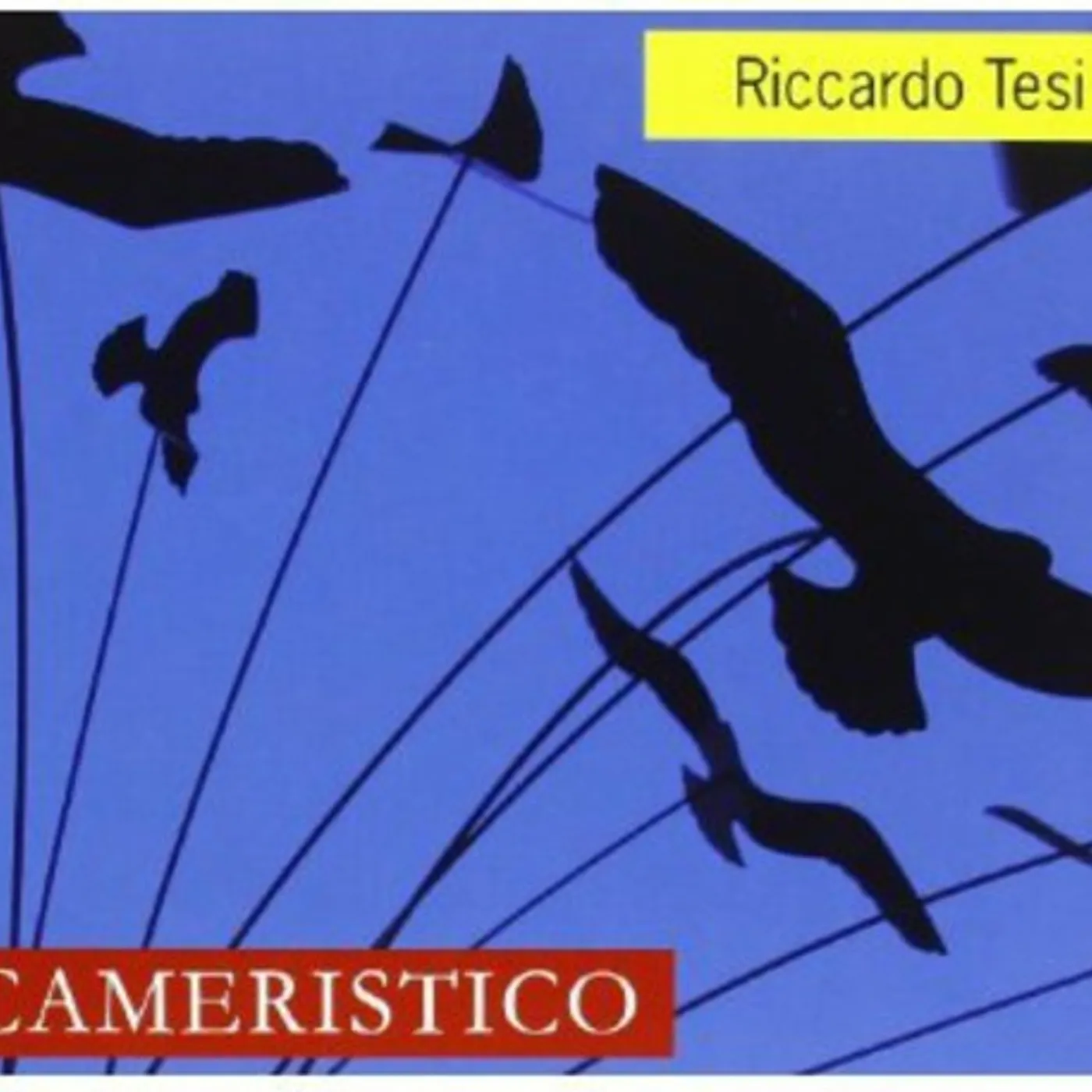 Riccardo Tesi CAMERISTICO CD