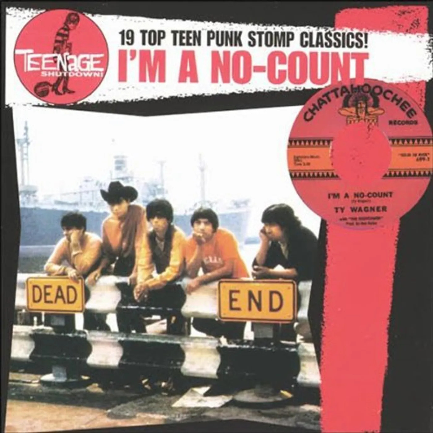 I'M A NO-COUNT 19 TOP TEEN PUNK STOMP CLASSICS! Vinyl Record