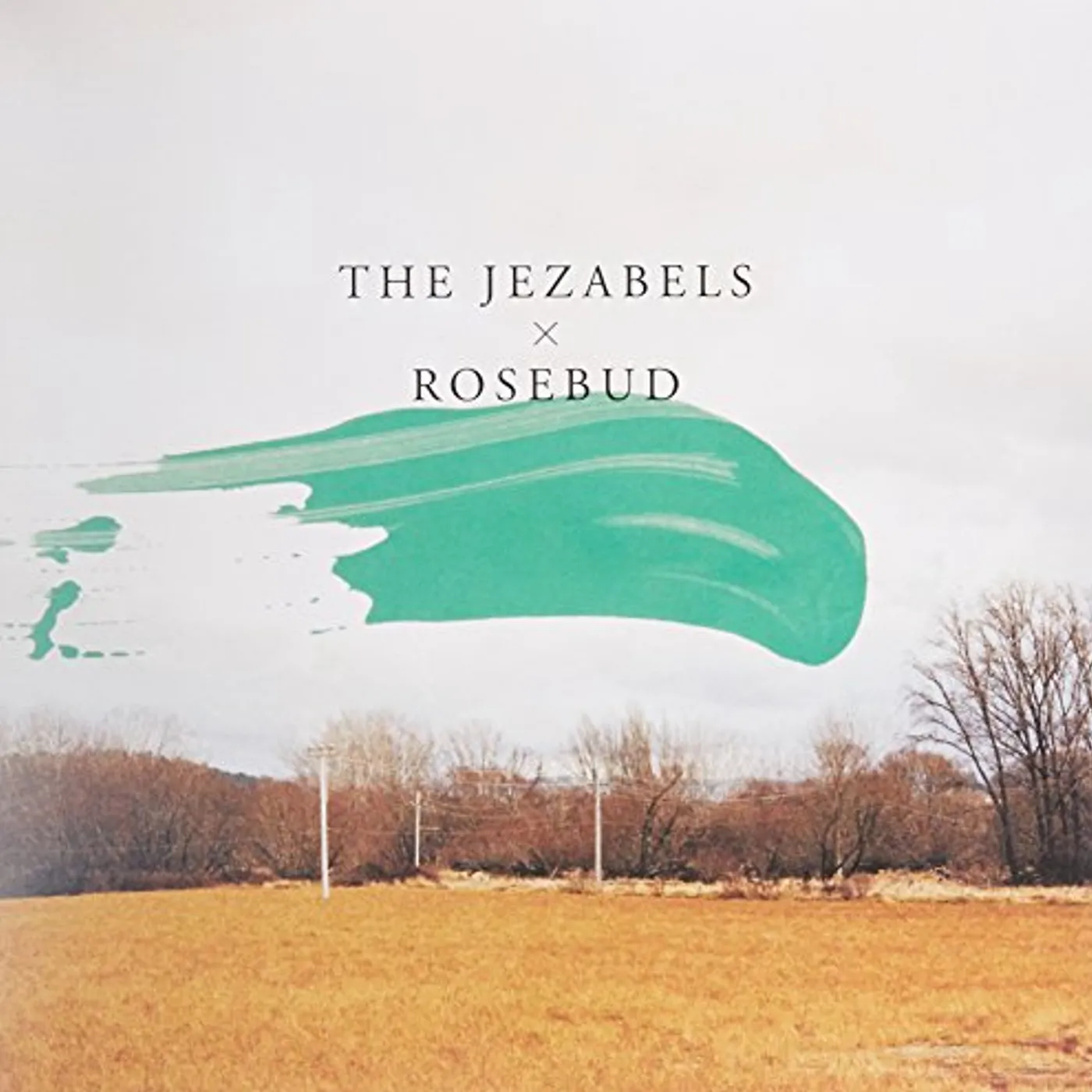 The Jezabels Rosebud Vinyl Record