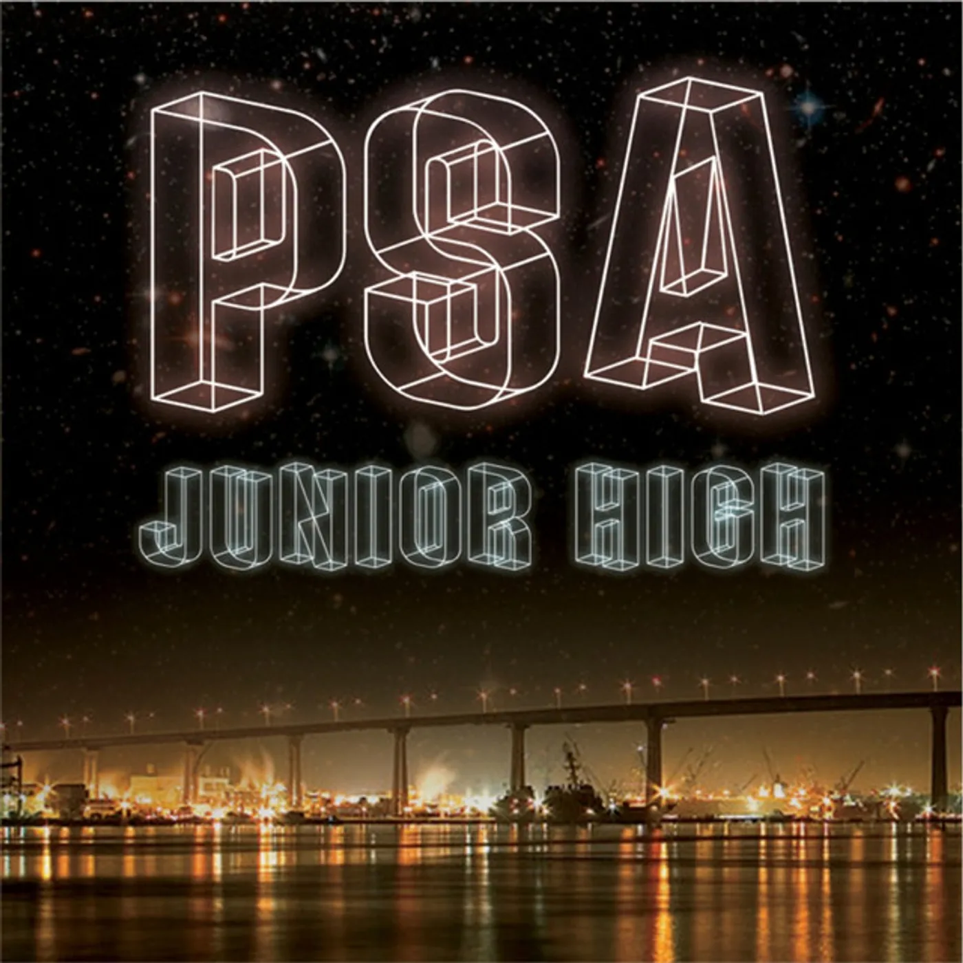 Junior High PSA Vinyl Record