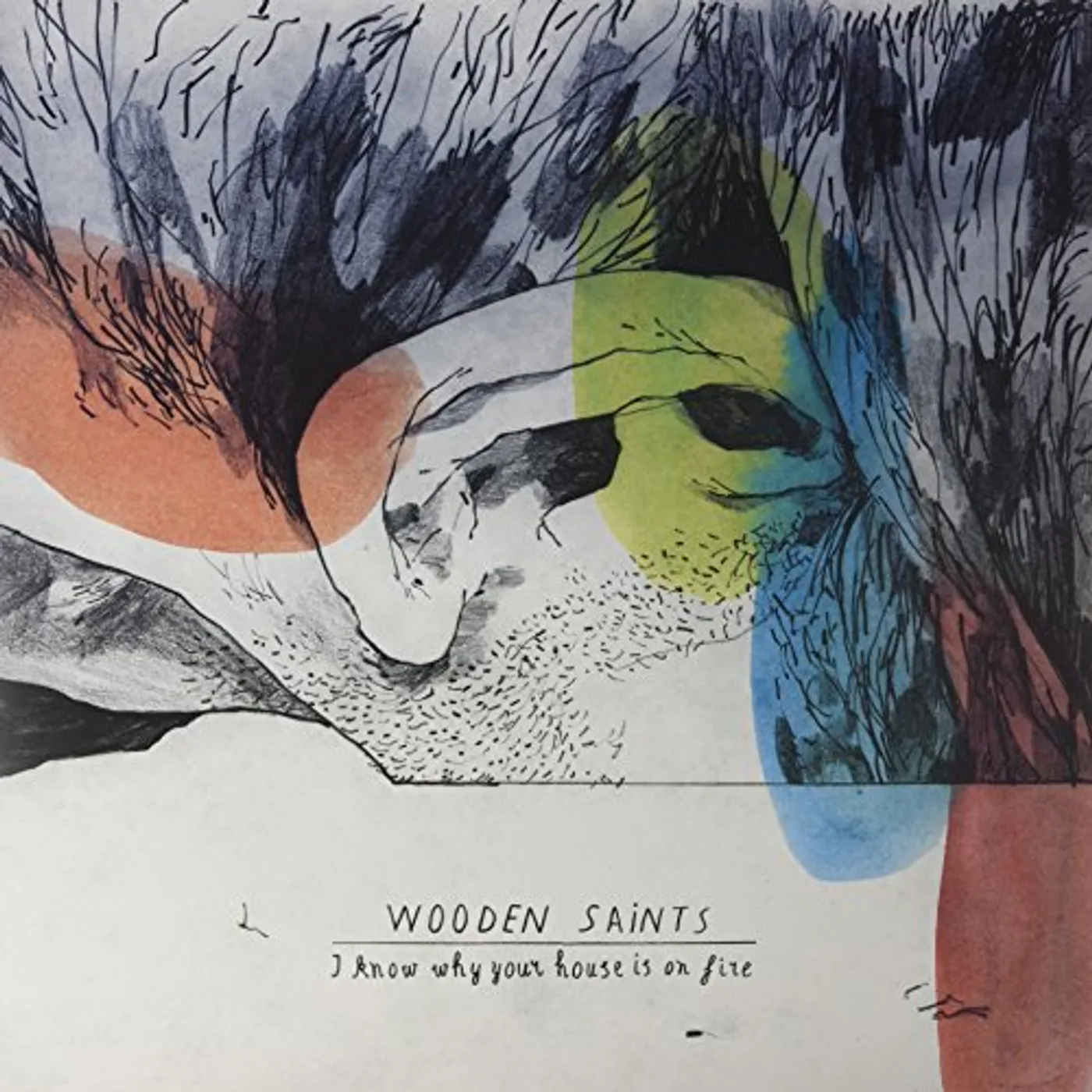 Wooden Saints I Know Why Your House Is On Fire Vinyl Record