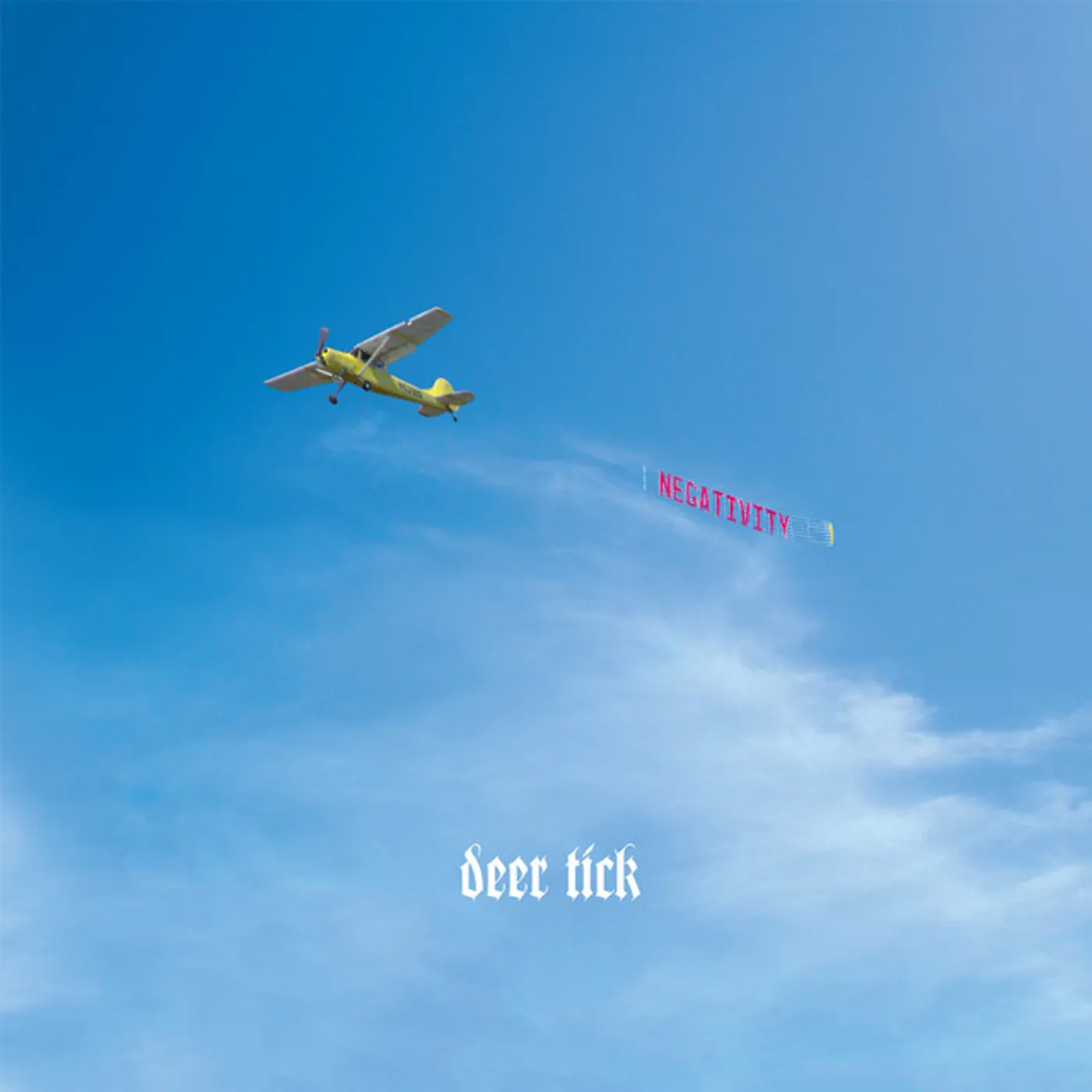 Deer Tick Negativity Vinyl Record