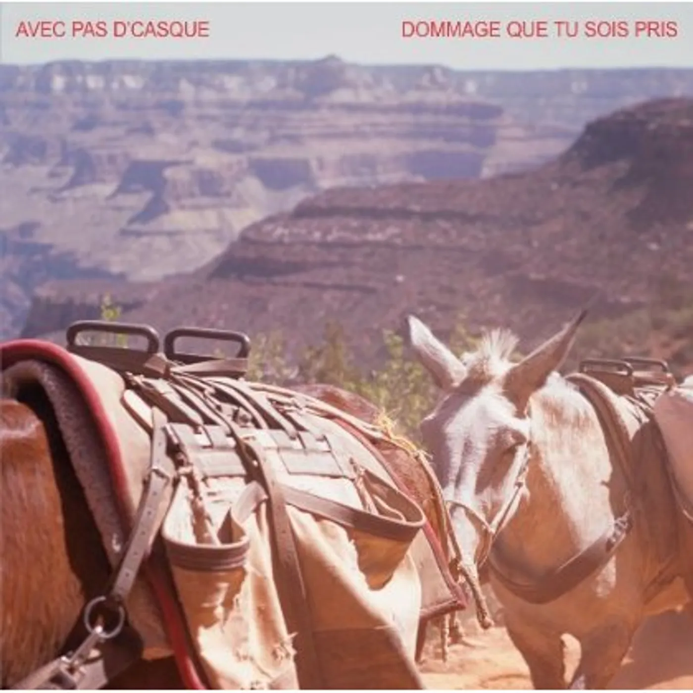 Avec pas d'casque DOMMAGE QUE TU SOIS PRIS CDEP CD
