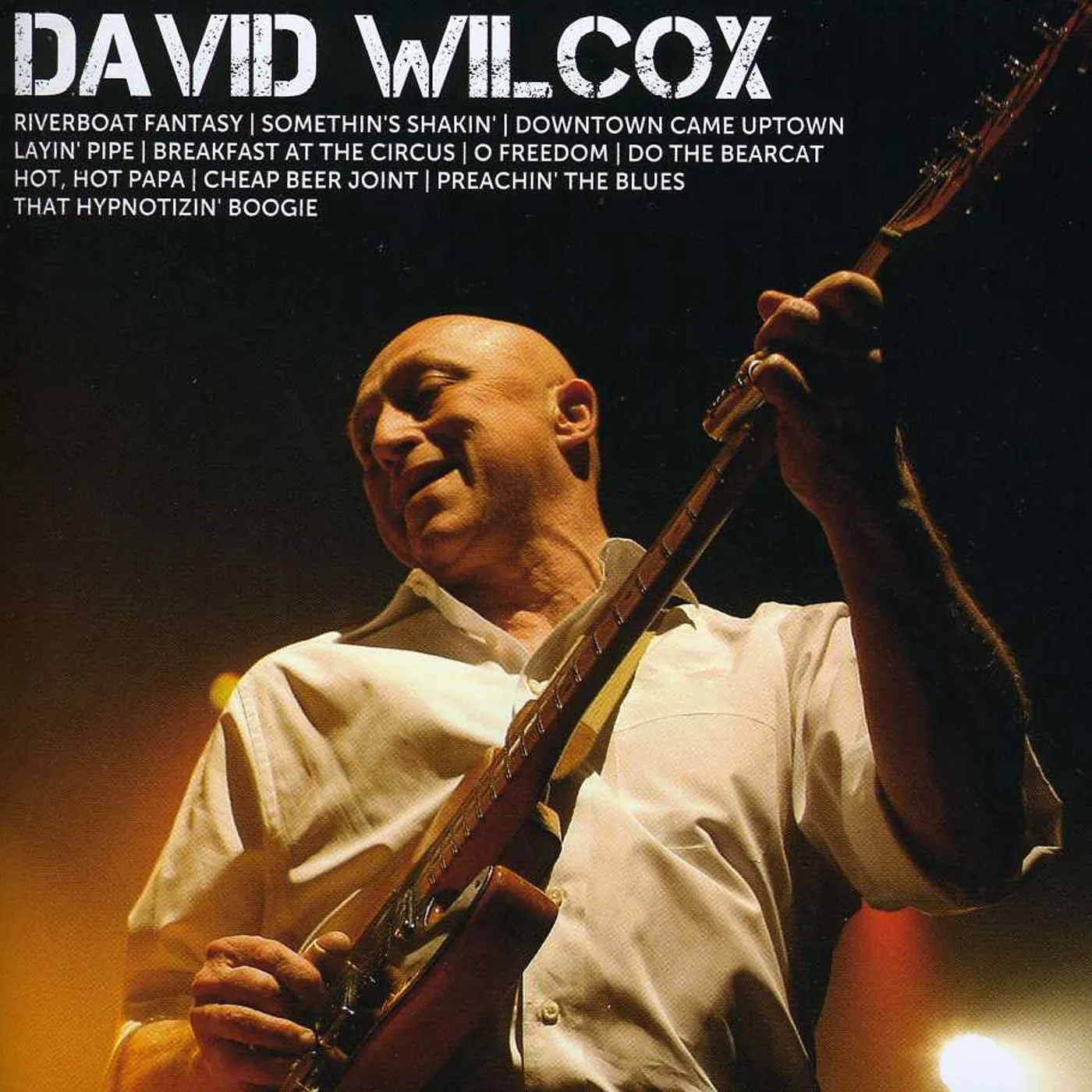 David Wilcox ICON CD