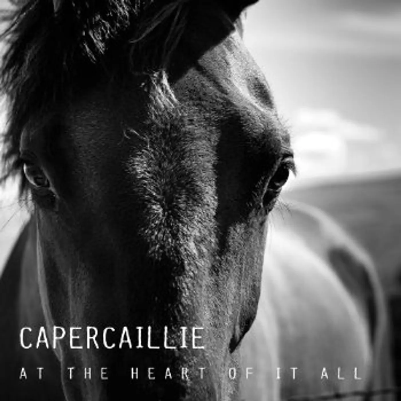 Capercaillie AT THE HEART OF IT ALL CD