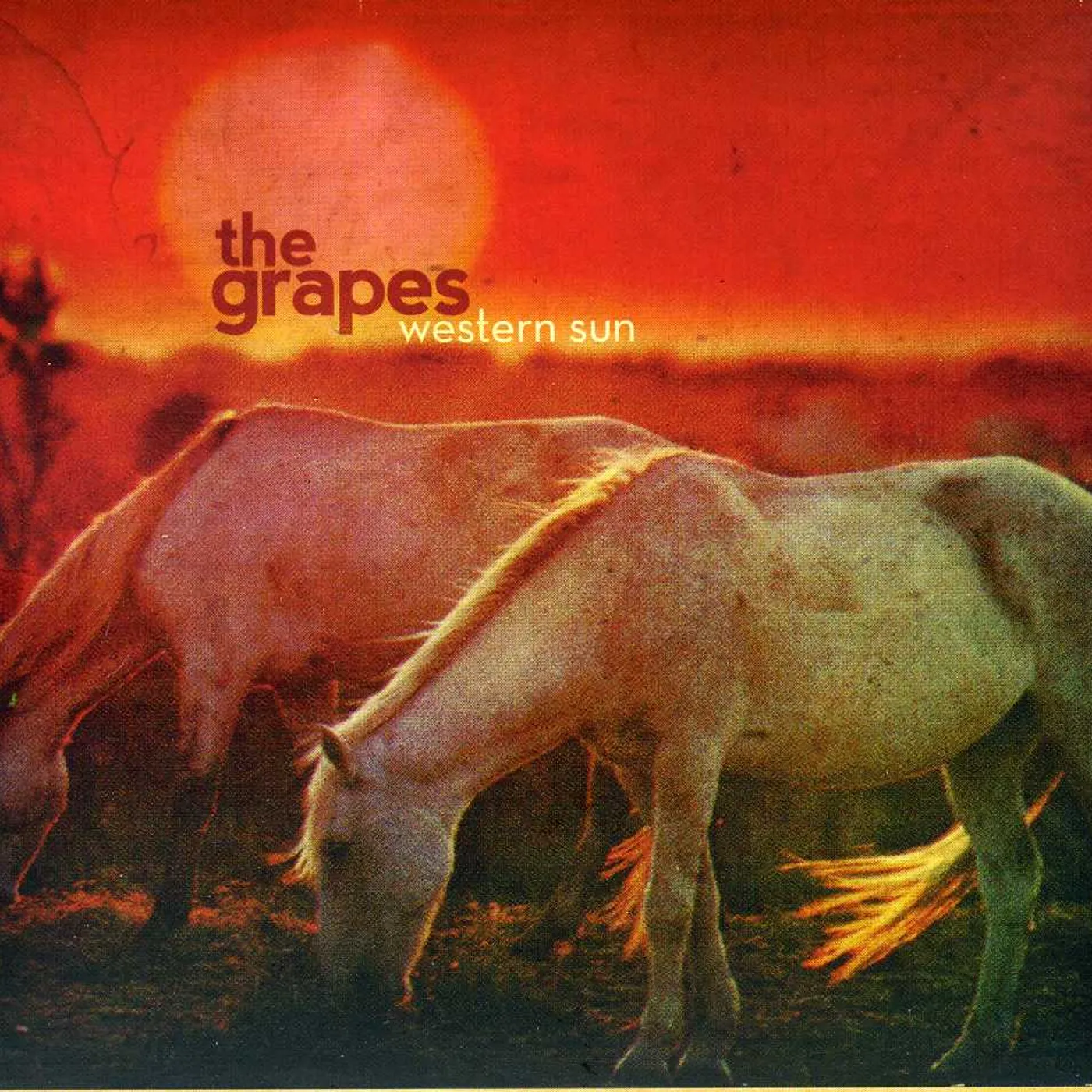Grapes WESTERN SUN CD
