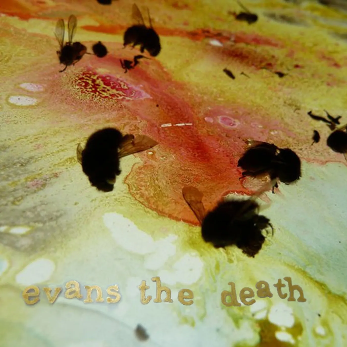 Evans The Death THREADS/IM SOUNCLEAN Vinyl Record