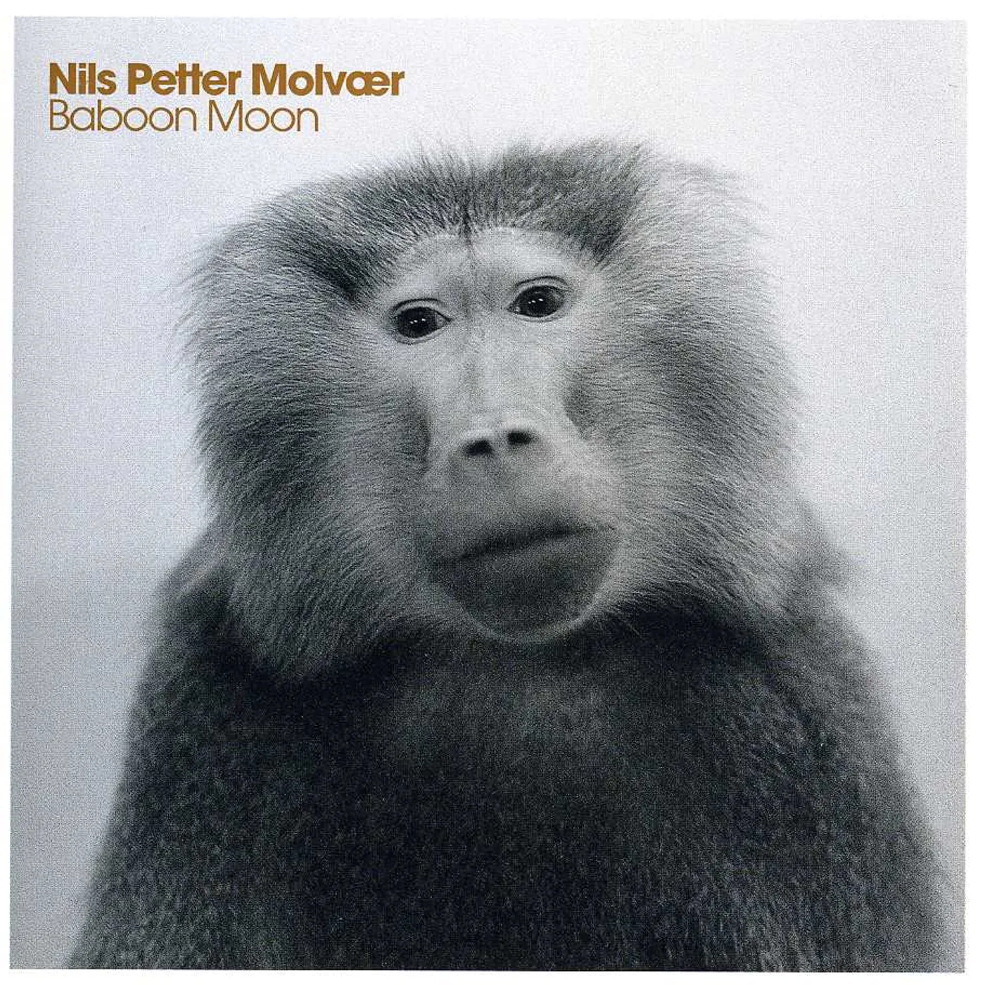 Nils Petter Molvaer BABOON MOON CD