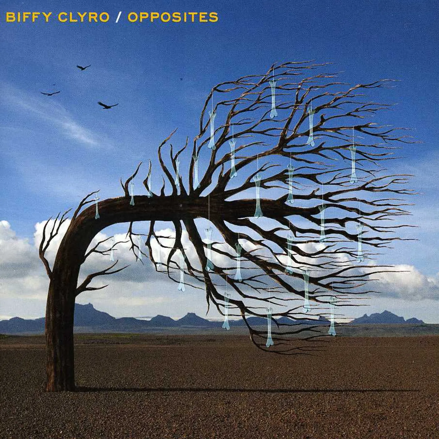 Biffy Clyro OPPOSITES: DELUXE CD